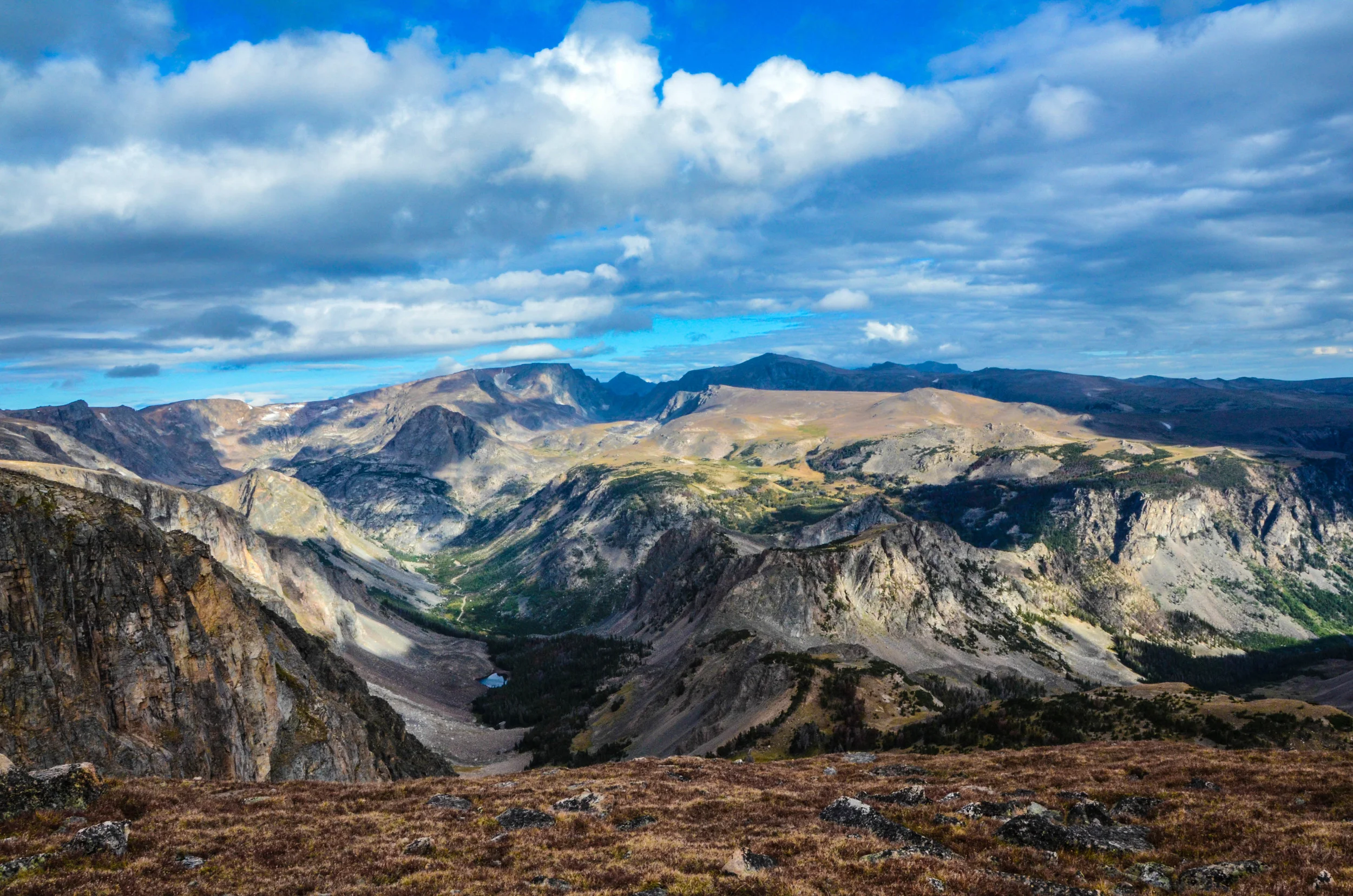 DSC_4672.jpg