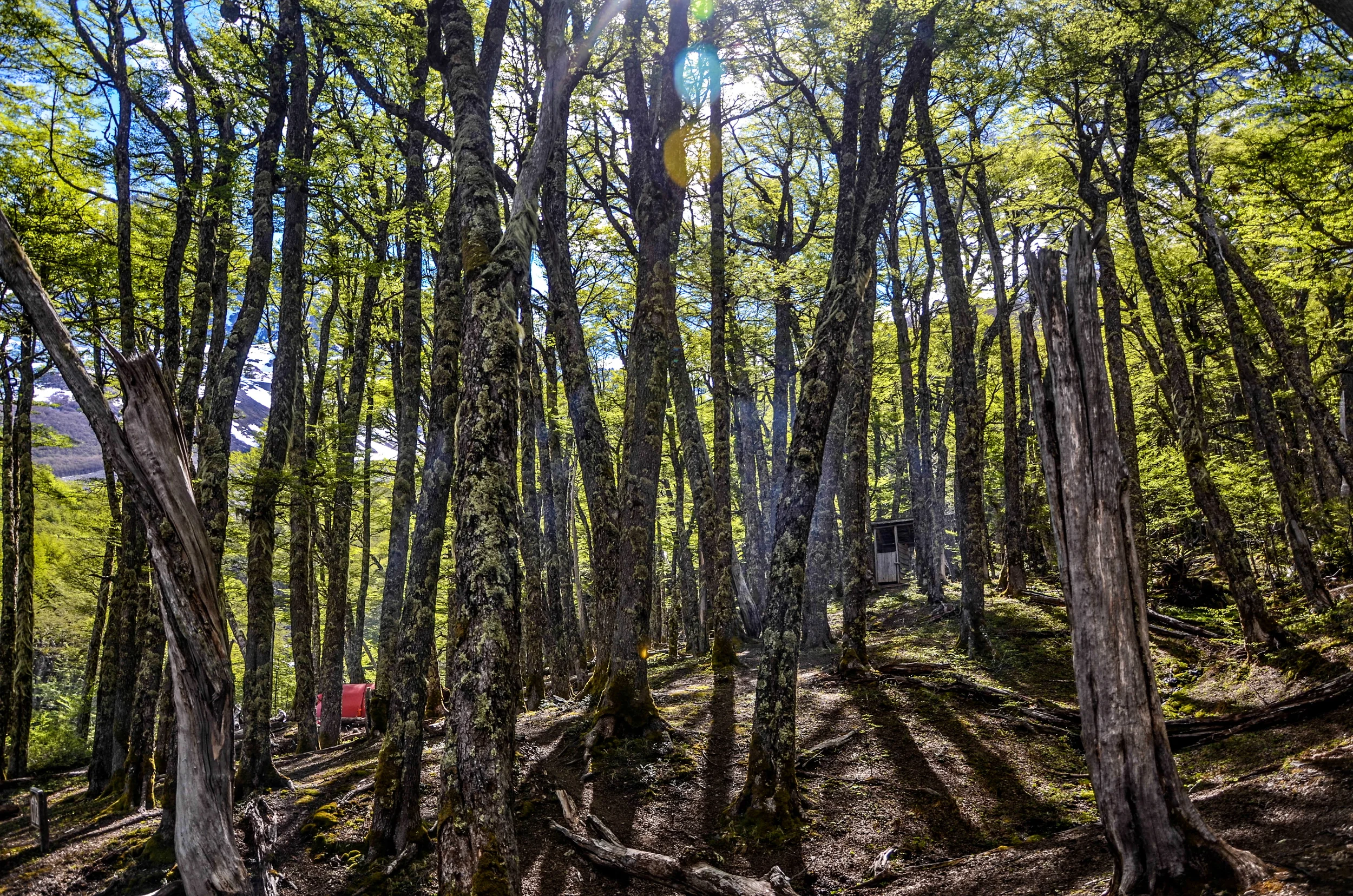 DSC_6069.jpg