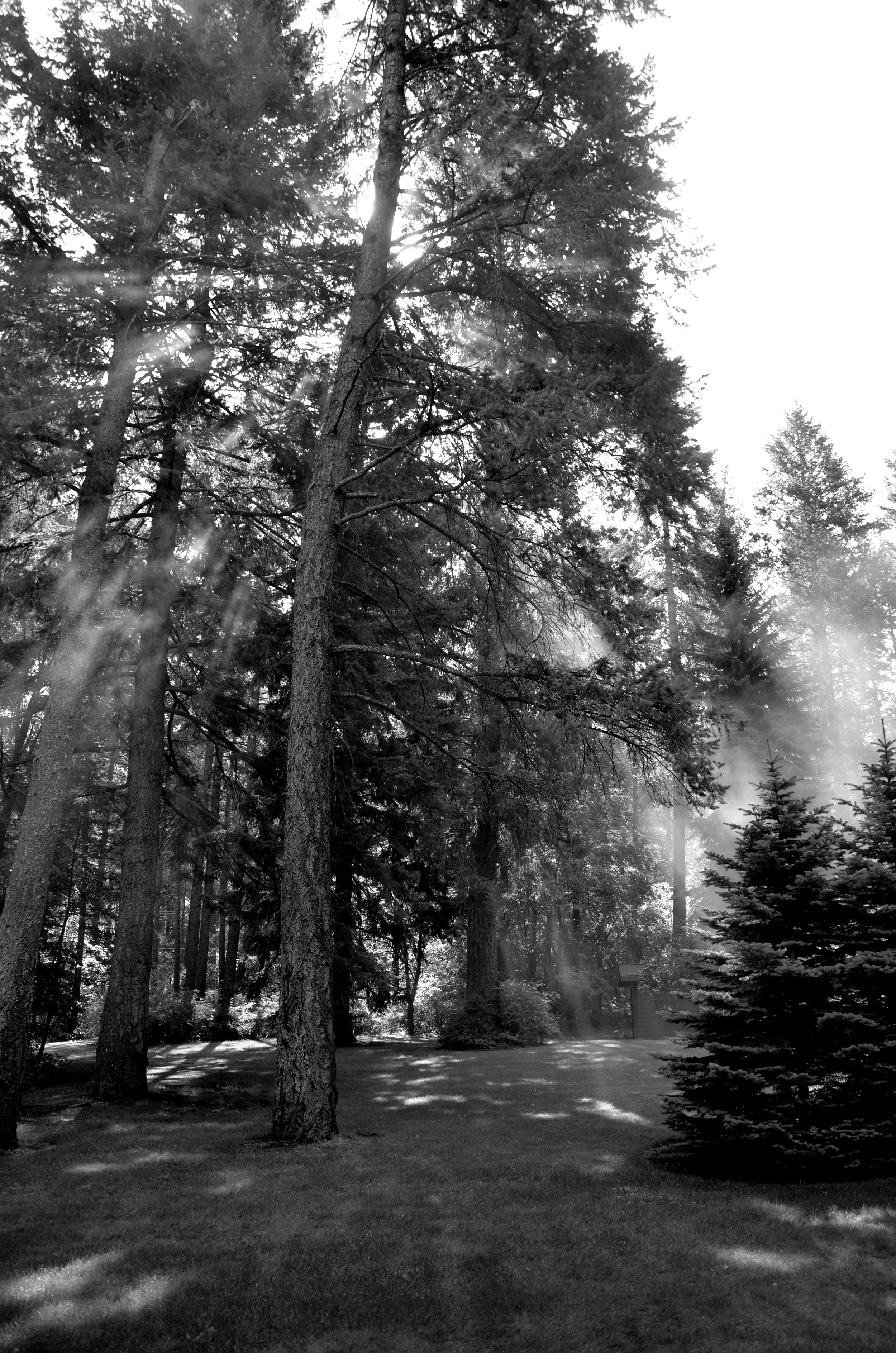 DSC_5659.jpg