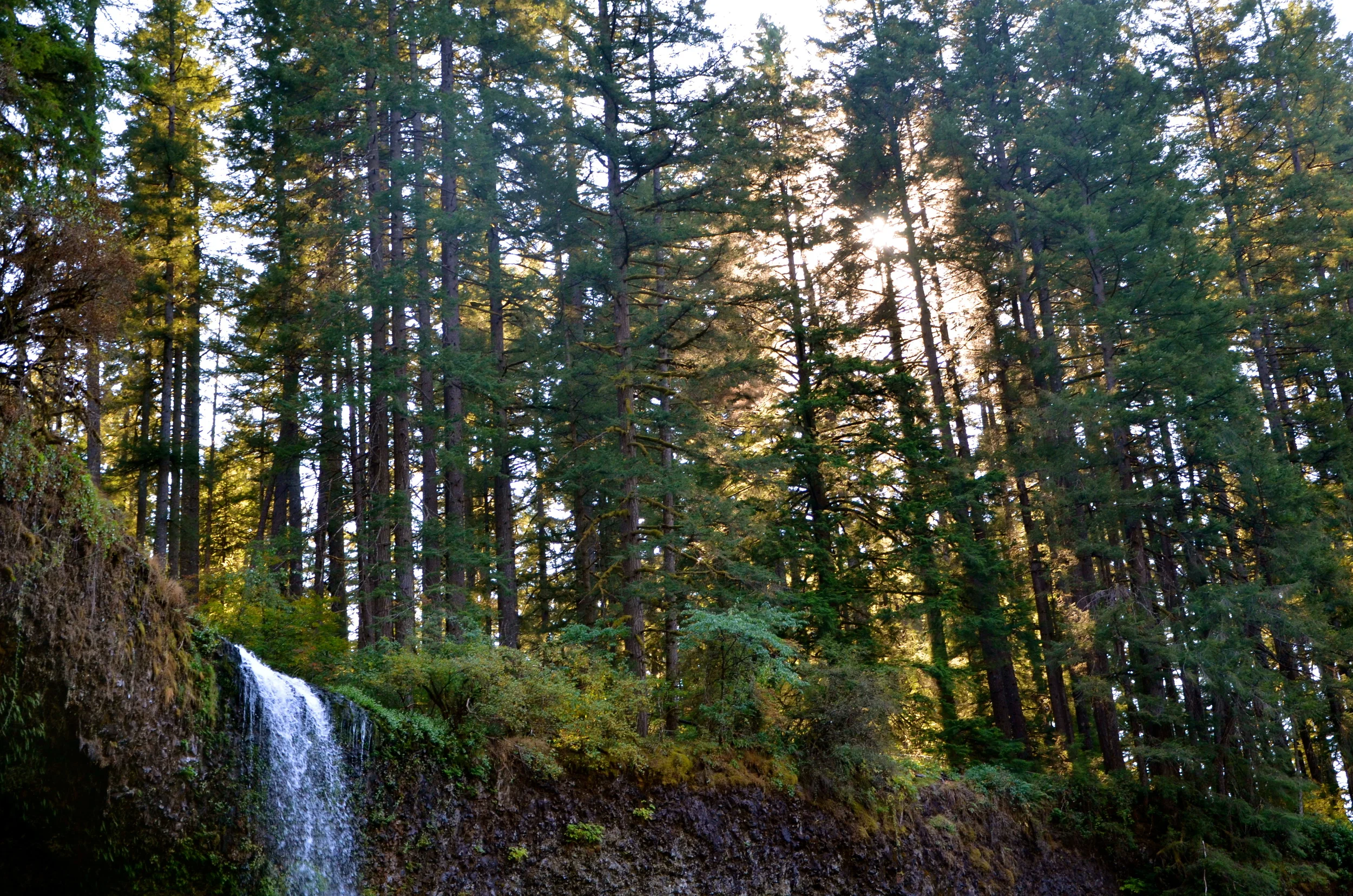 Silver Falls.JPG