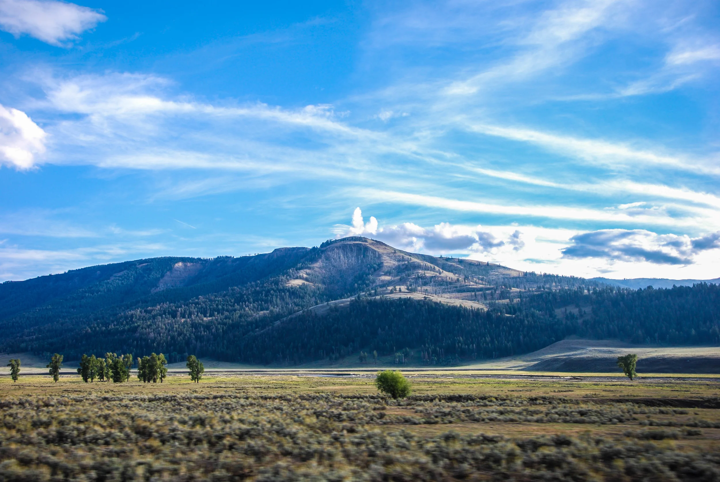 DSC_0665 3.jpg
