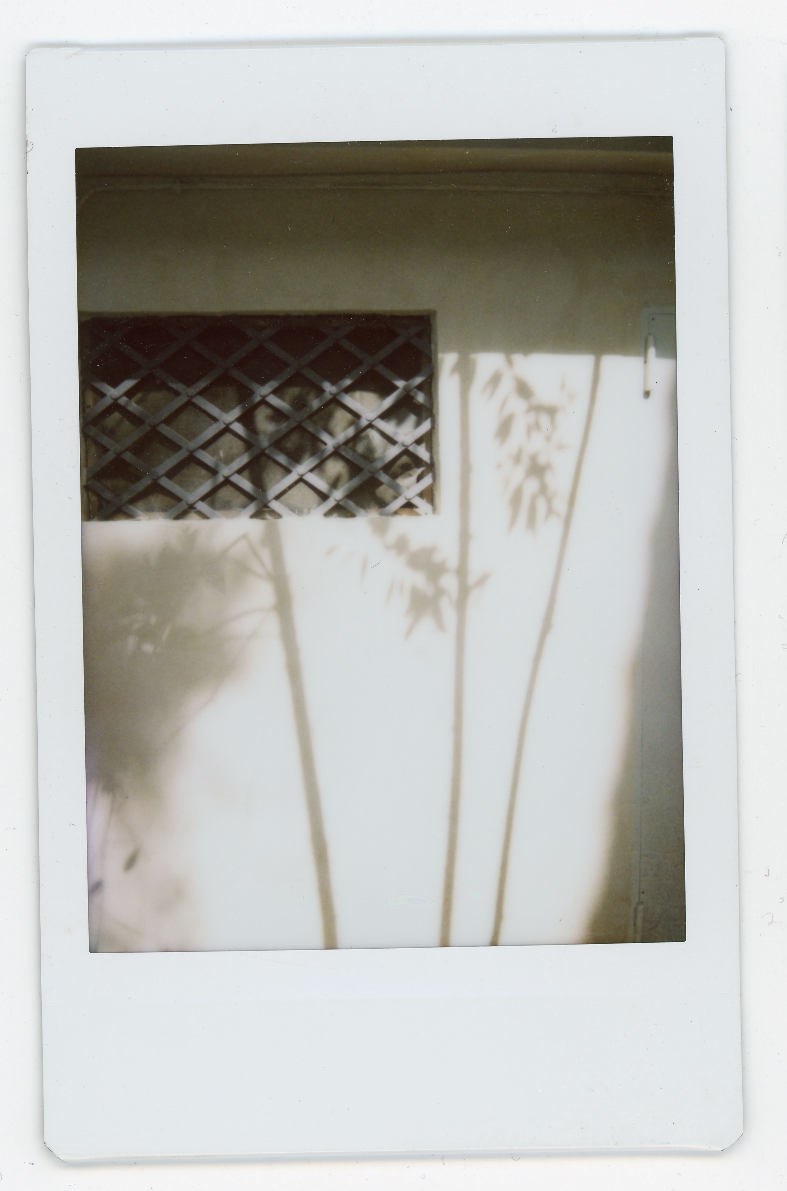 Polaroid033.jpg