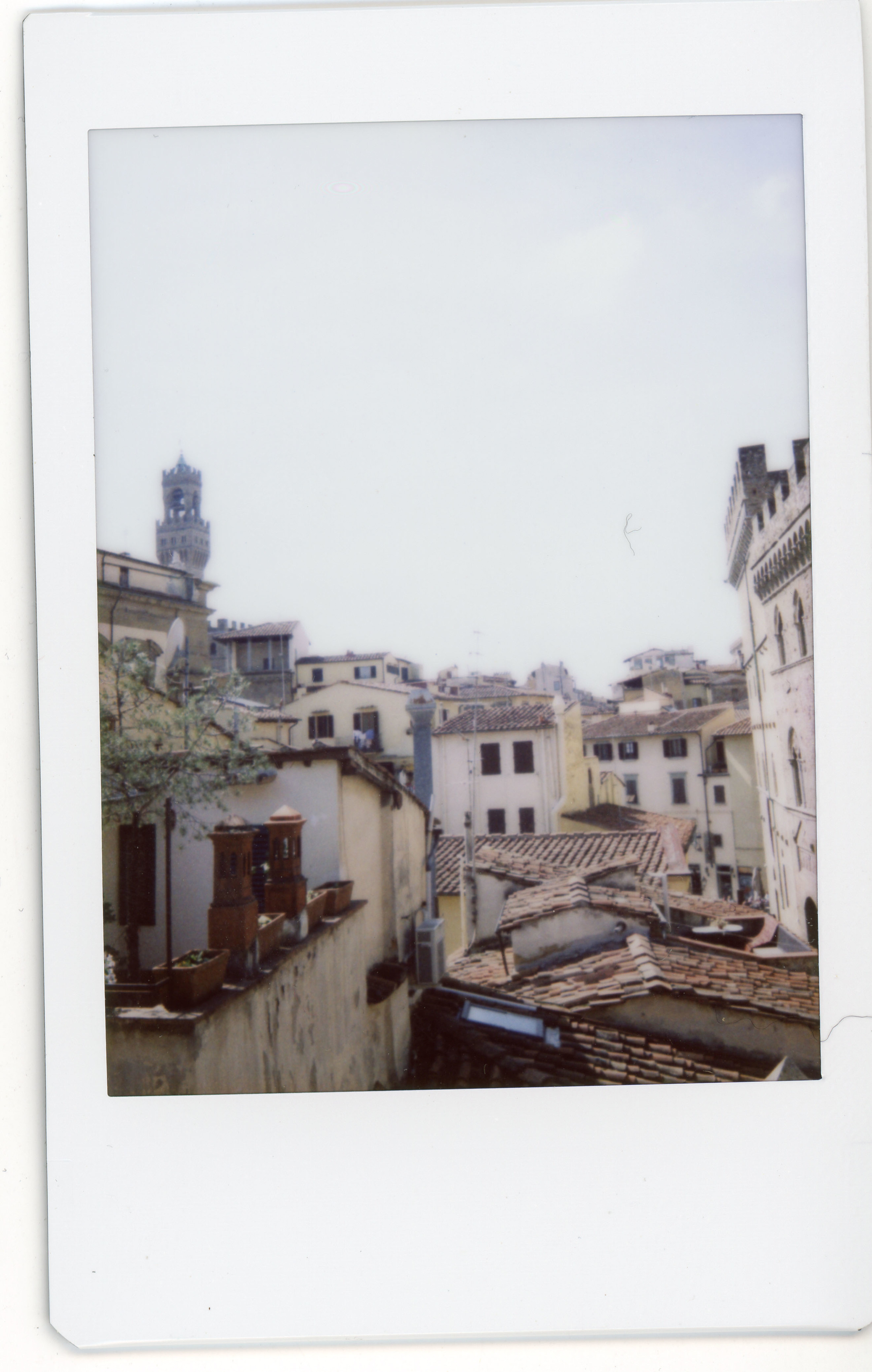 Polaroid046.jpg