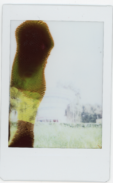 Screen Shot 2014-09-23 at 1.53.30 PM.png