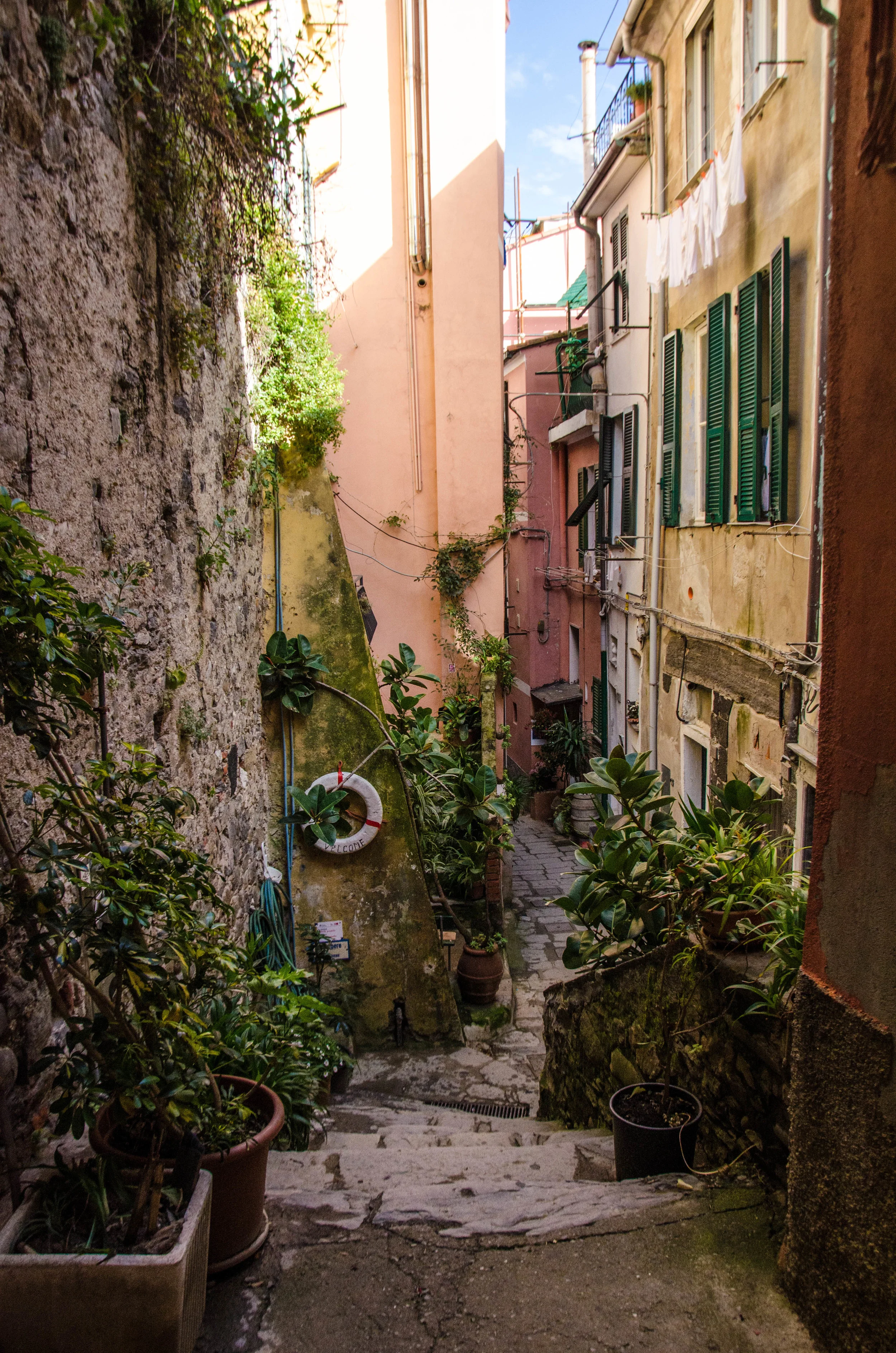DSC_7980.jpg