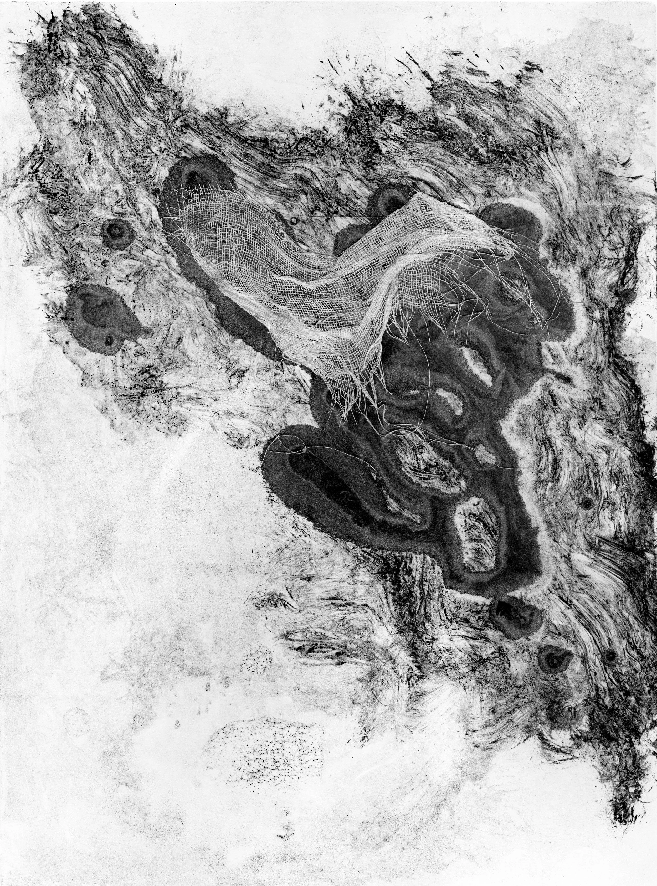 Tarlatan006-2.jpg