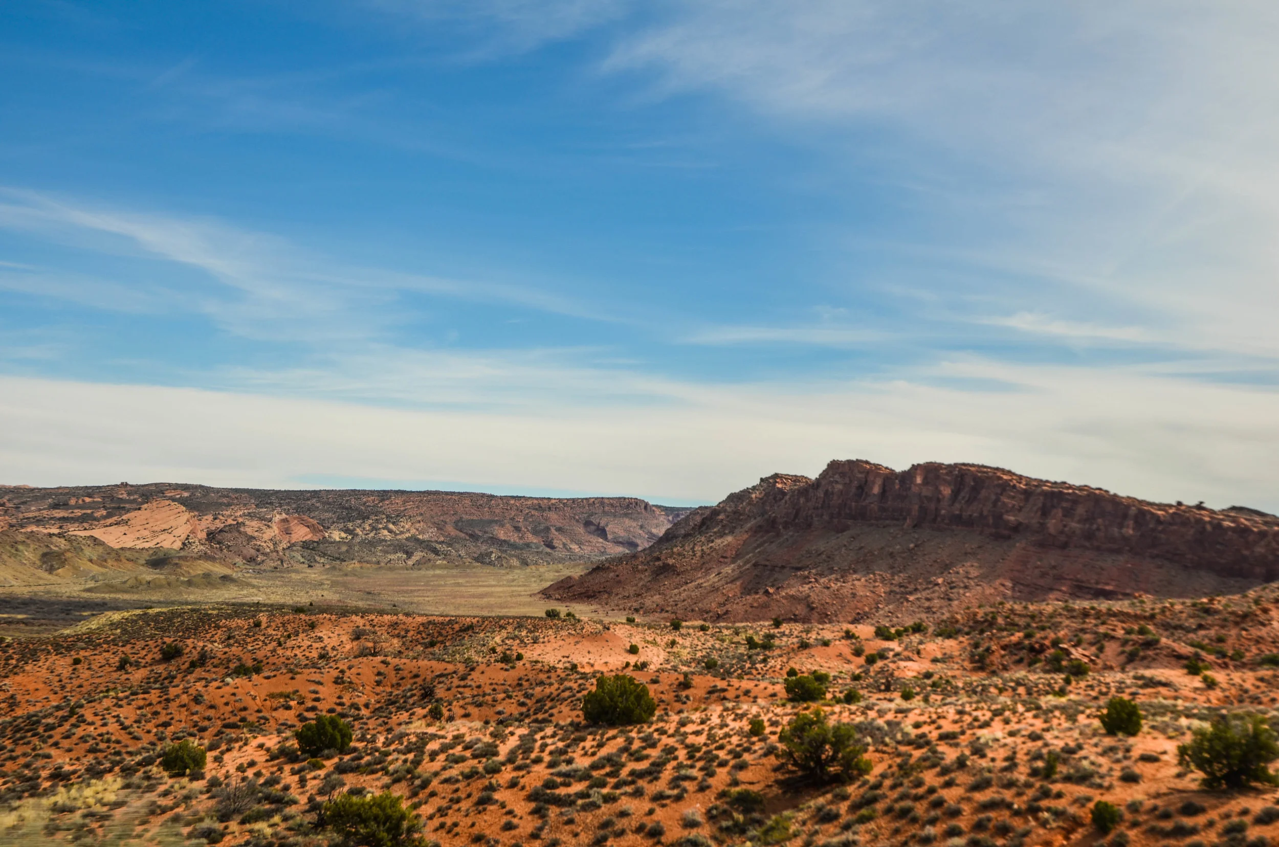 DSC_0554-2.jpg