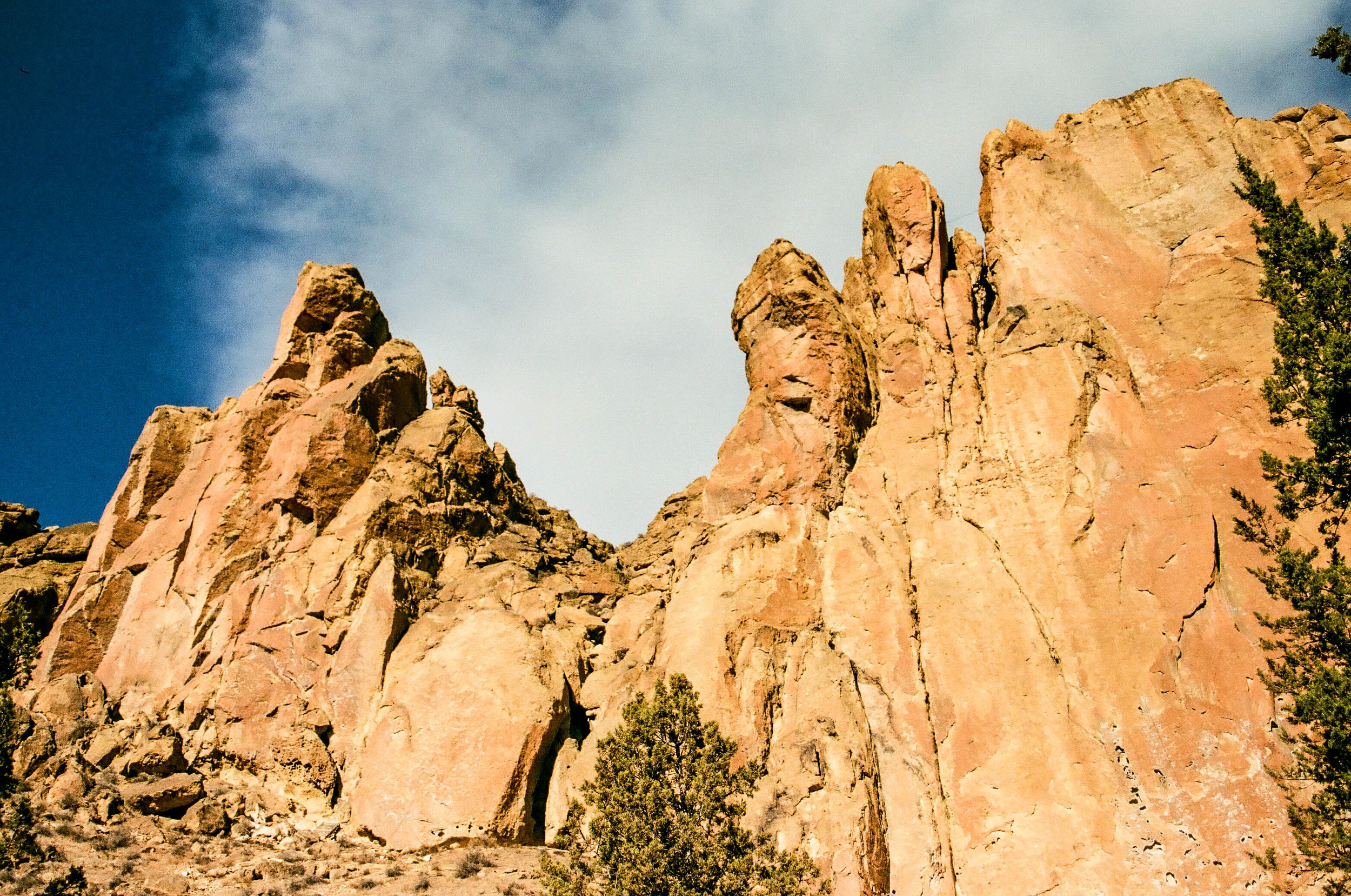 4885_0007_7 copy.jpg