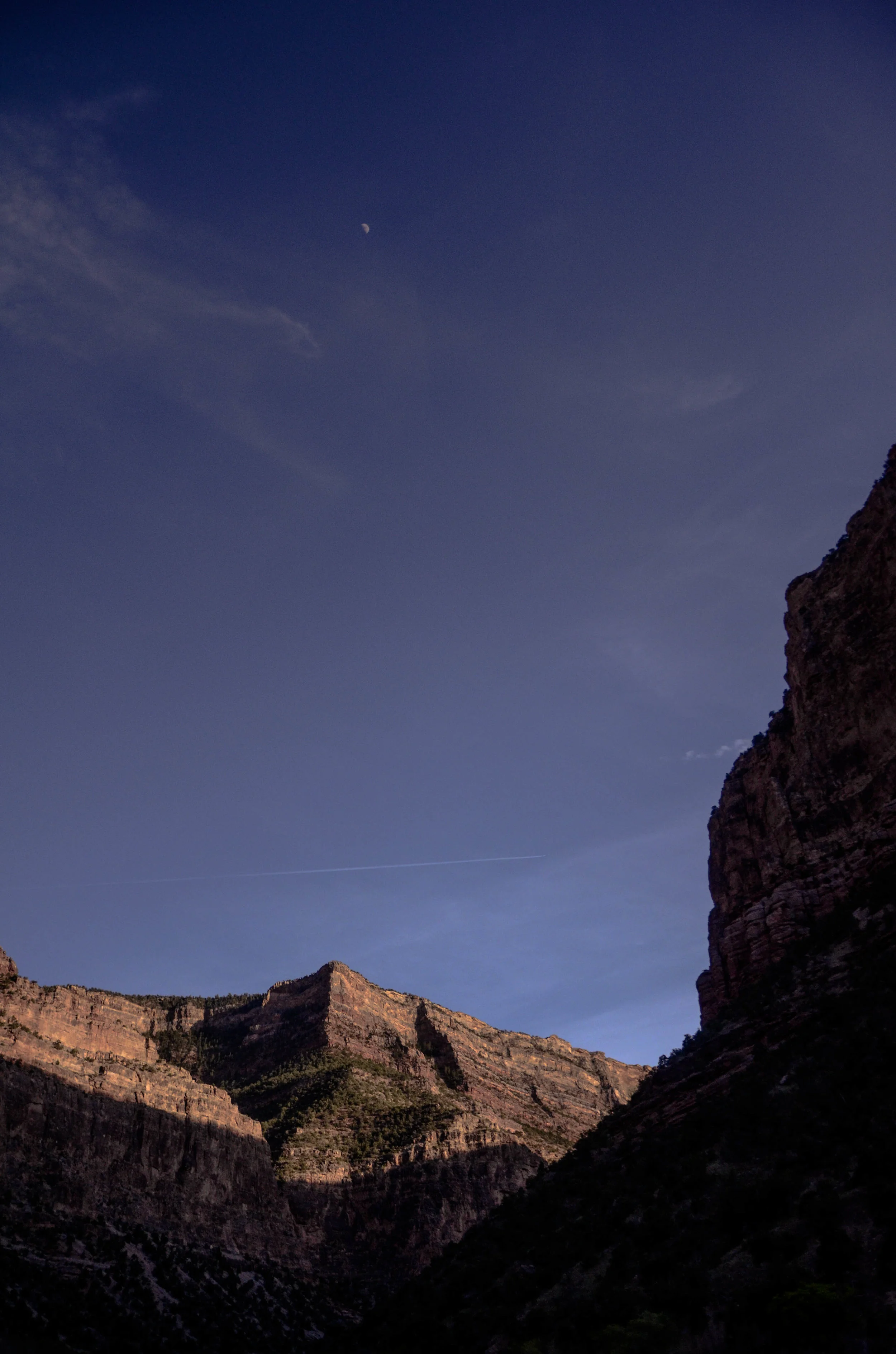 DSC_2023-2.jpg