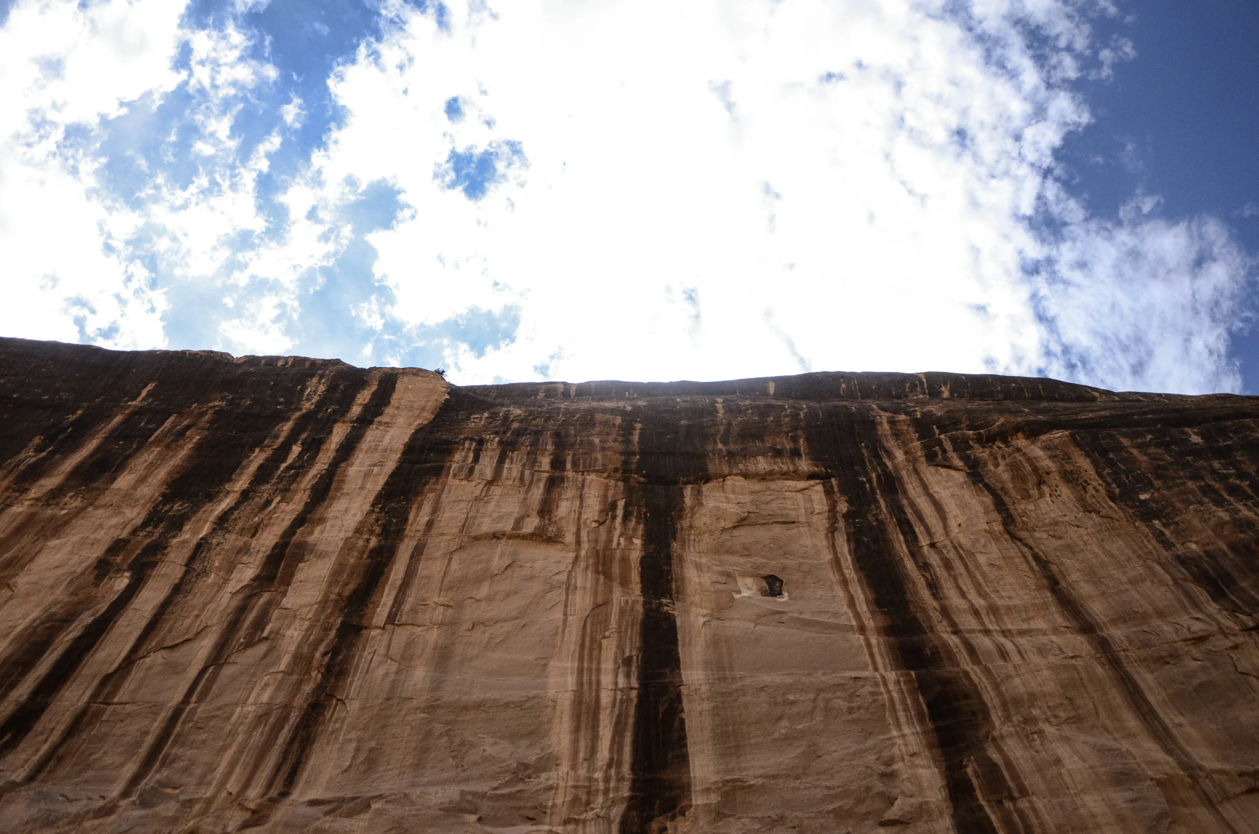 DSC_2048-2.jpg