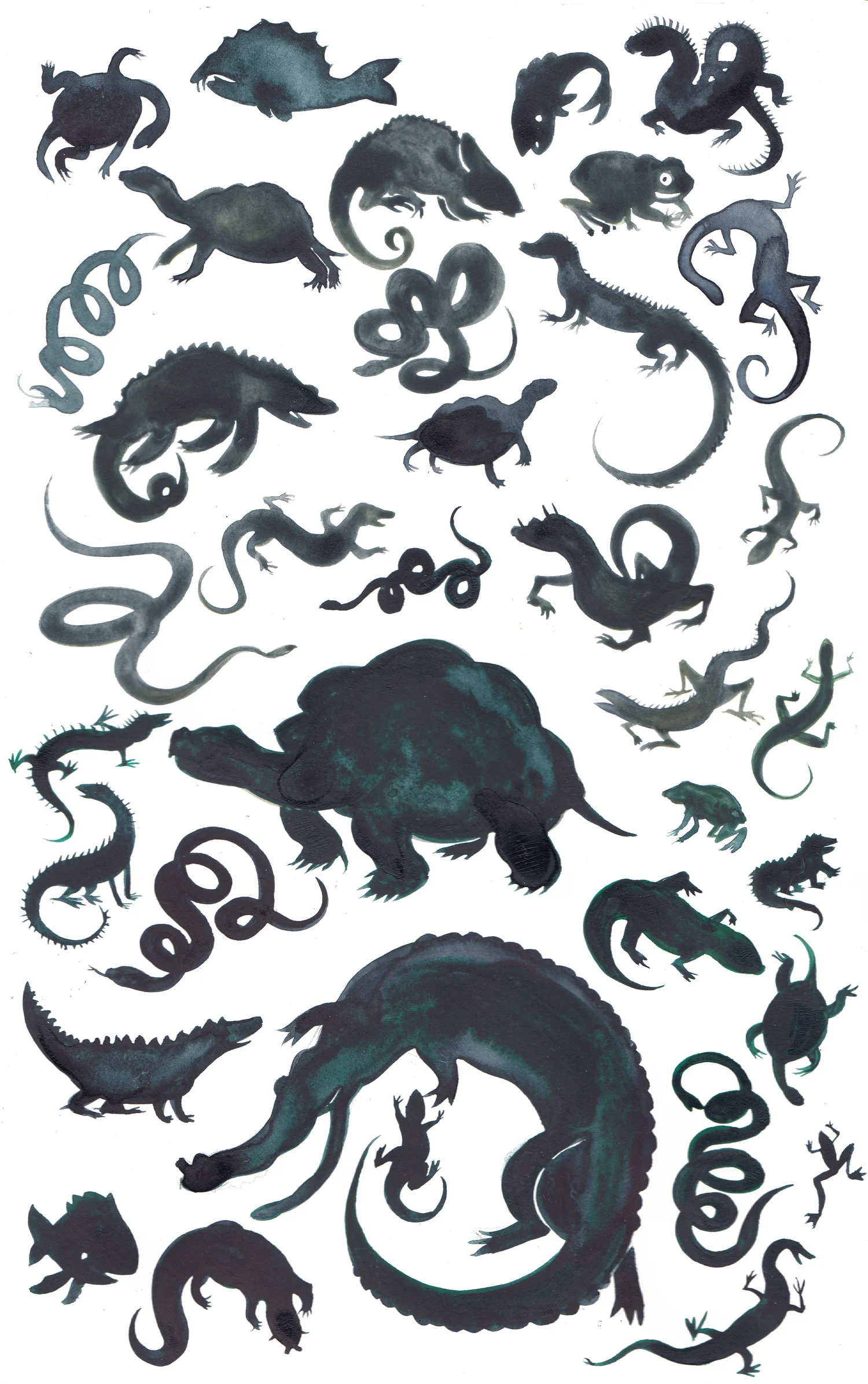 Things with scales