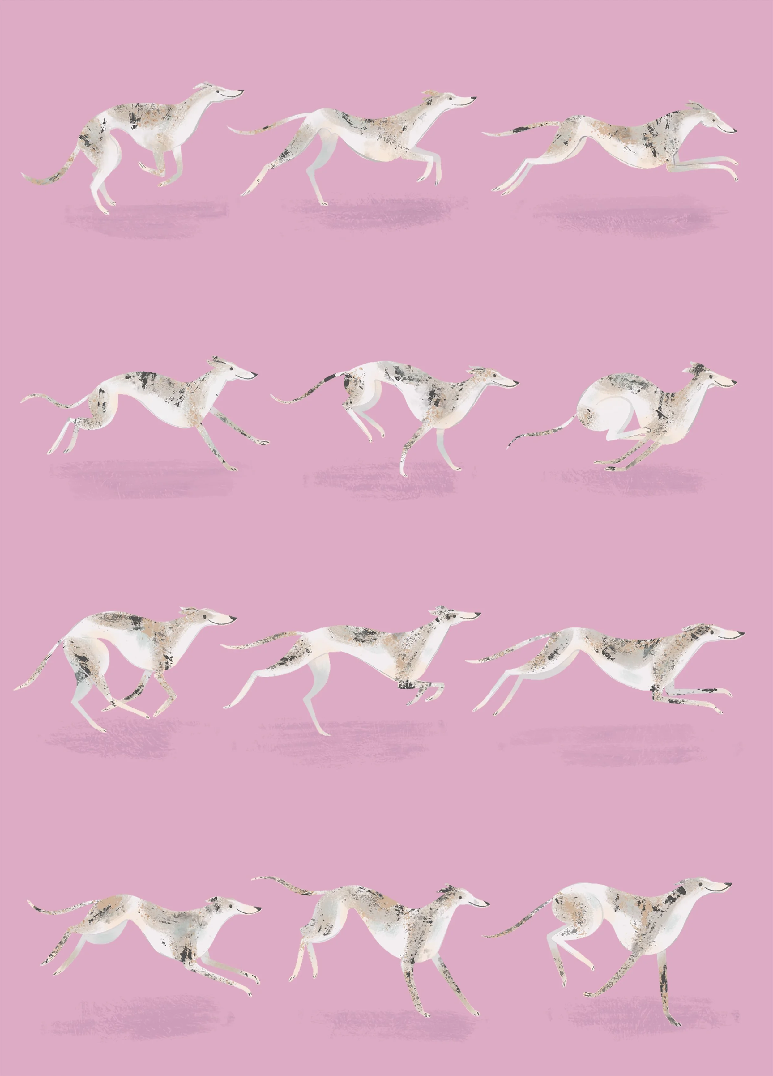 8_Stages of Run_Final copy.jpg