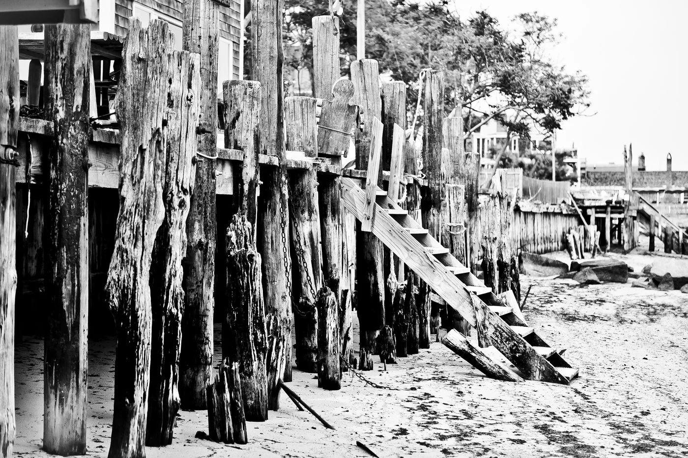 BOSTON BNW PRINTS-BOSTON BNW PRINTS-0001.jpg
