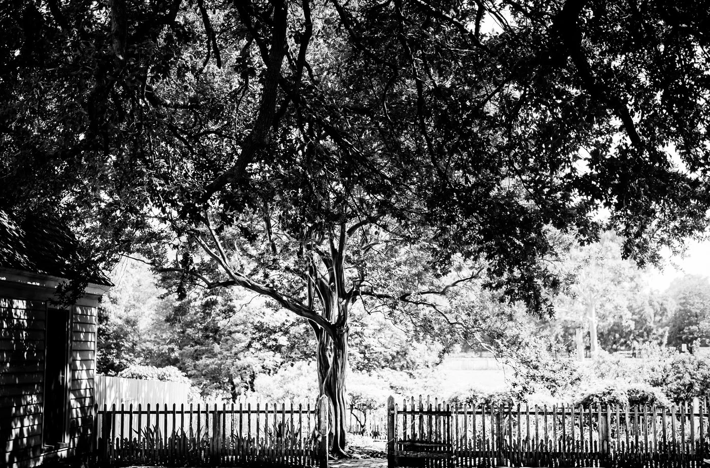 BOSTON BNW PRINTS-BOSTON BNW PRINTS-0008.jpg