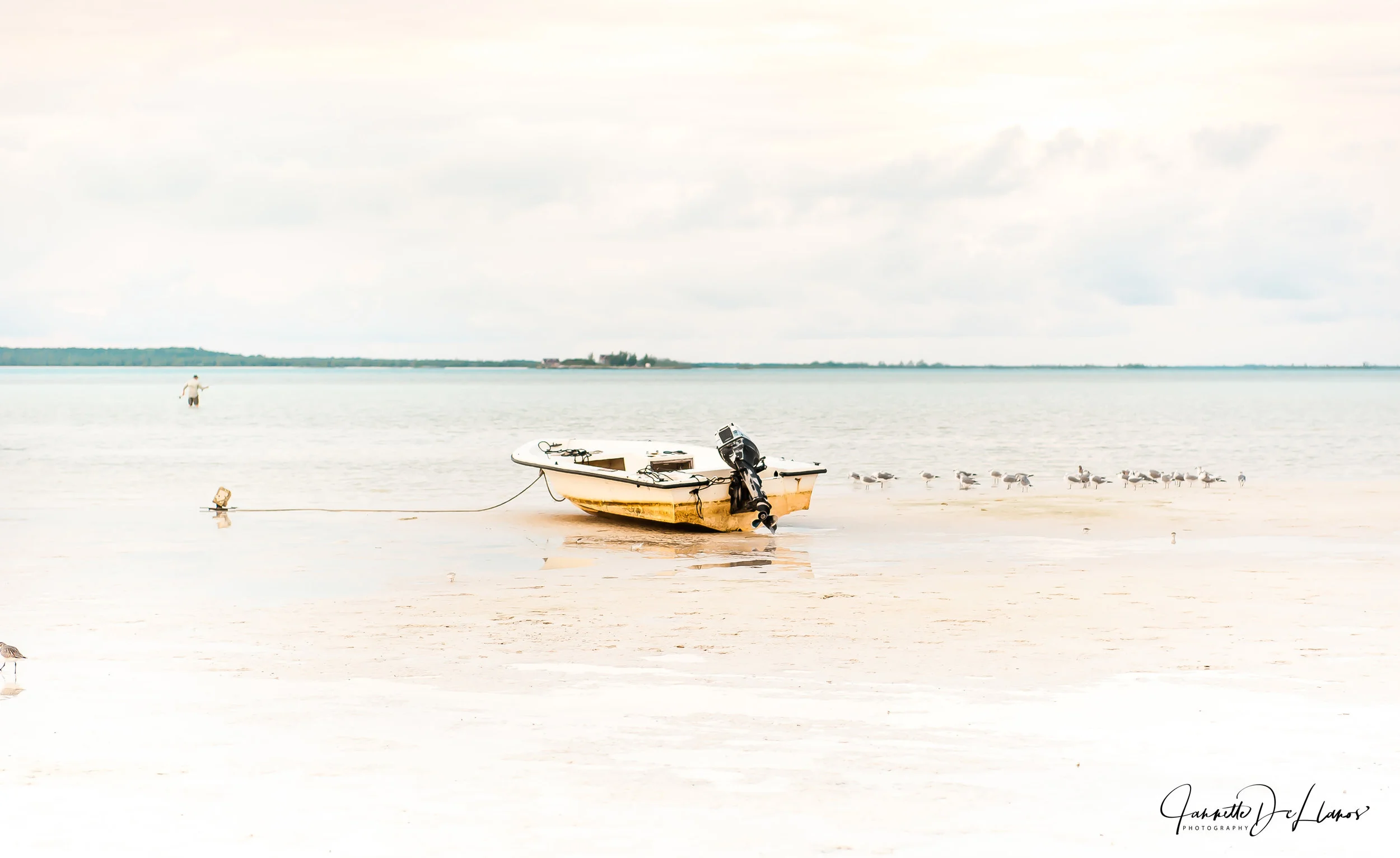 DSC_1201.jpg