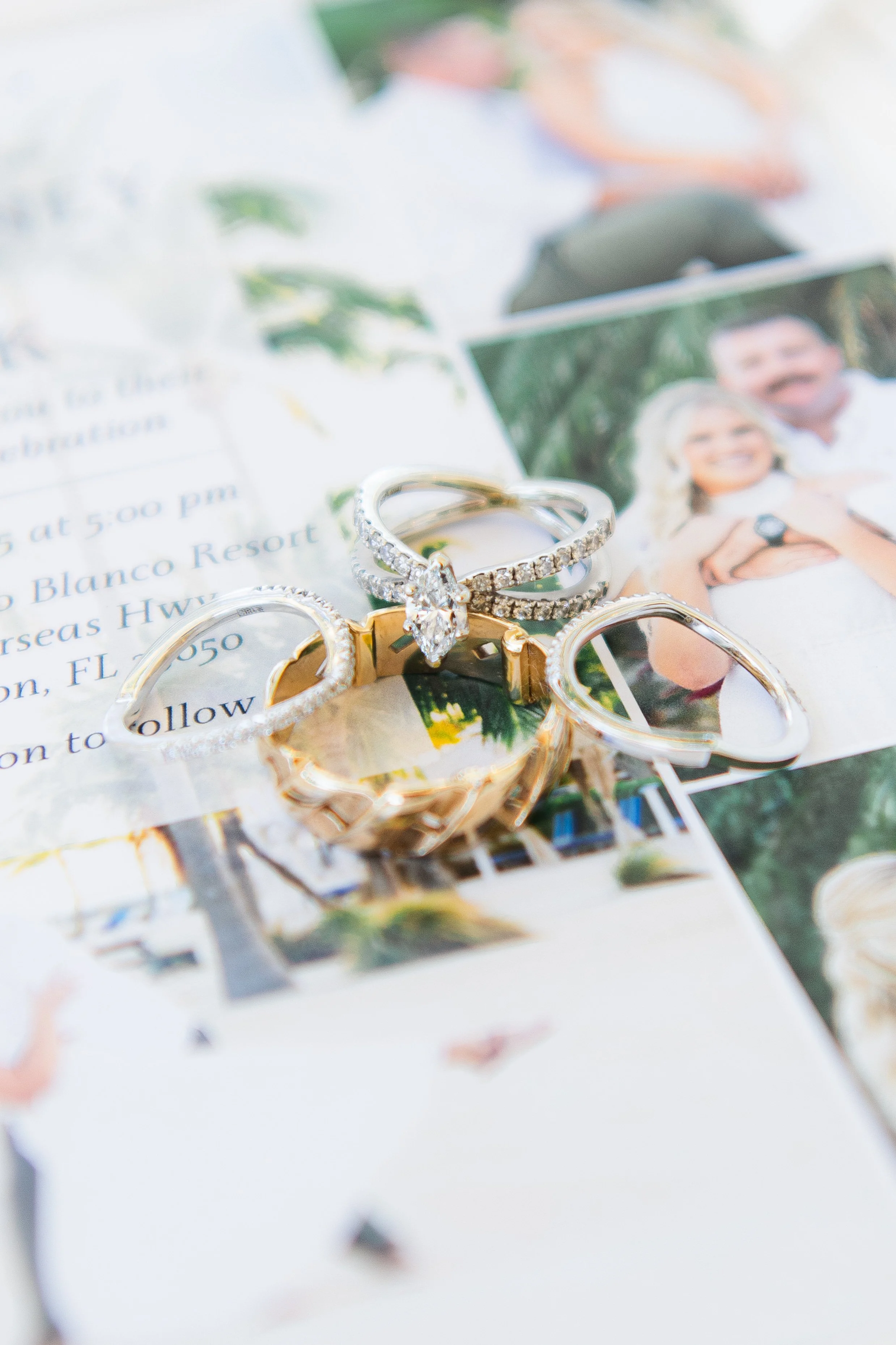 DSC_0400-2.jpg