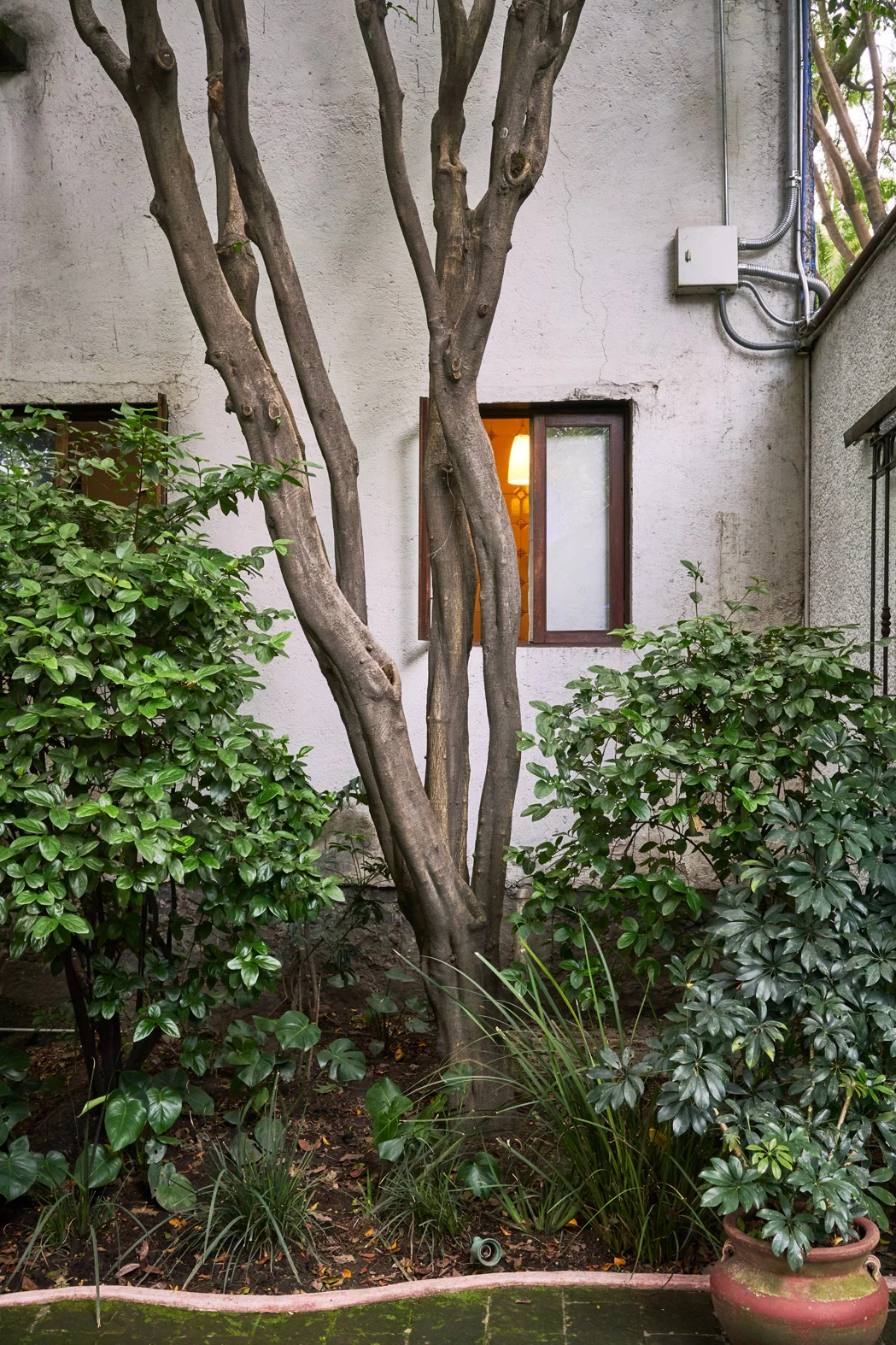 DSC09321.jpg