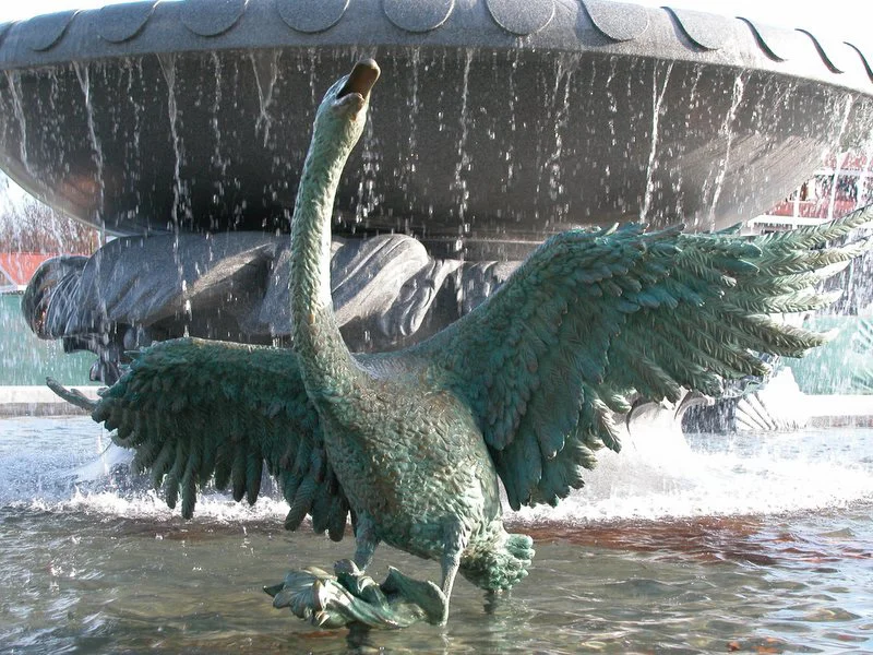 Swan 3