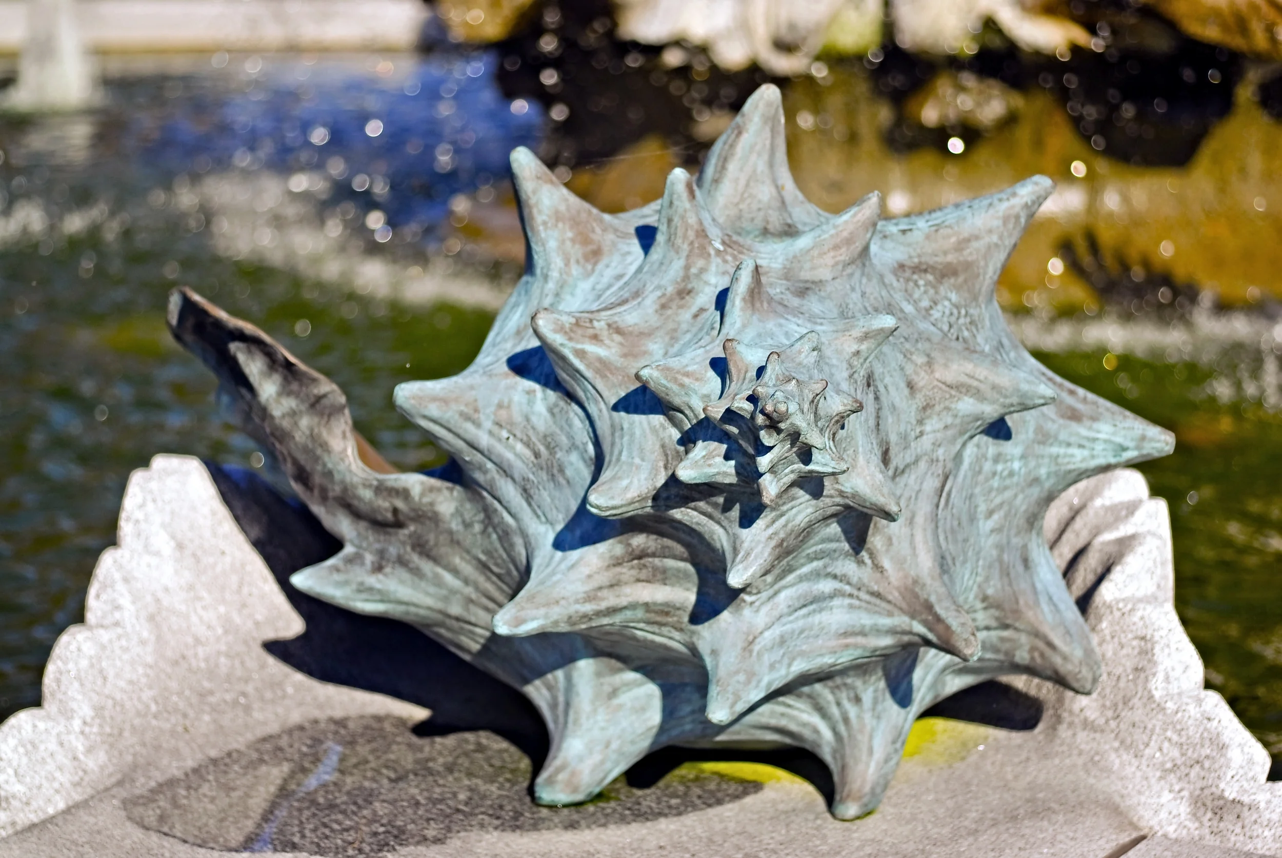 Shell detail