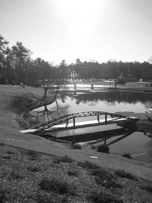 Original site