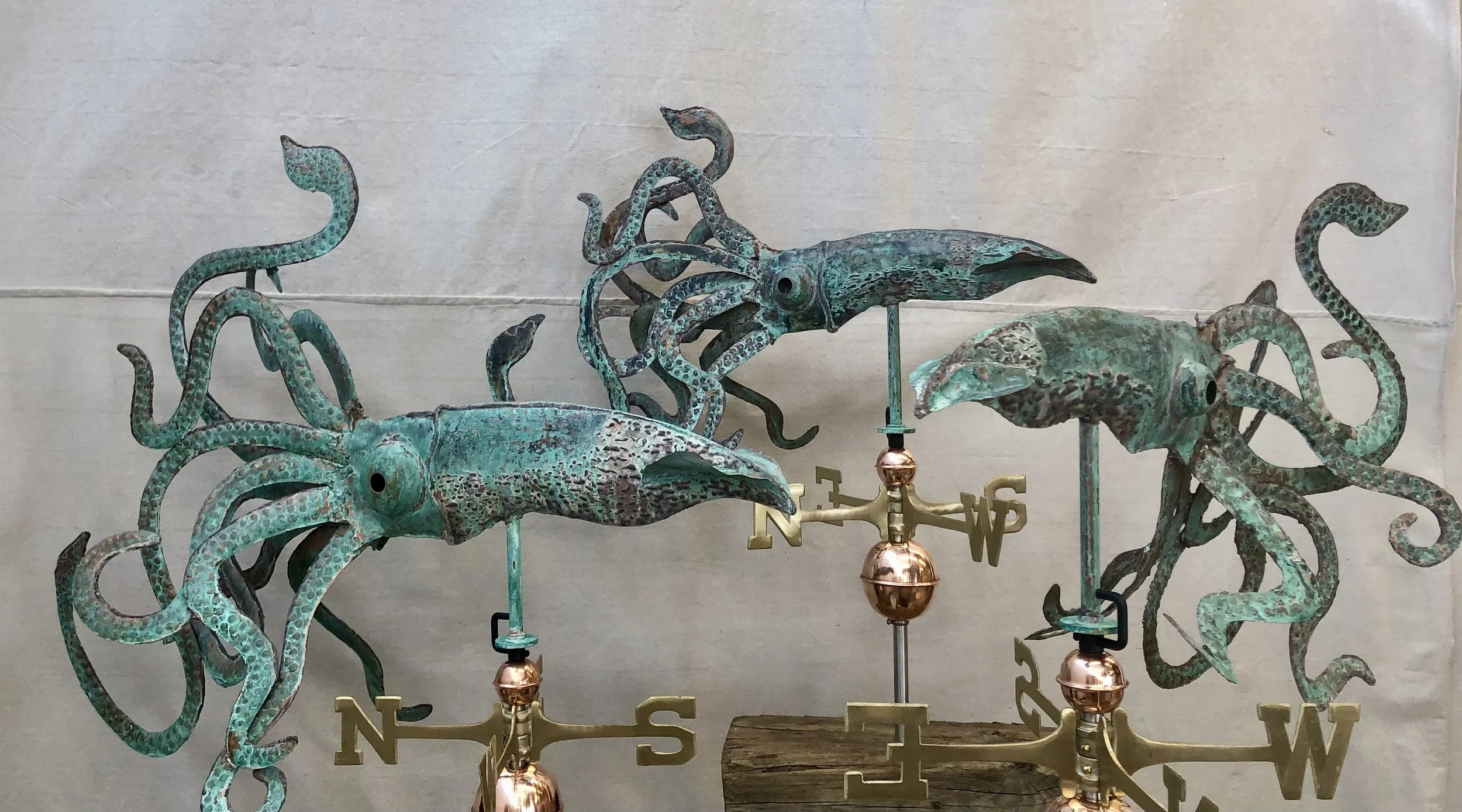 Small and Large Squids