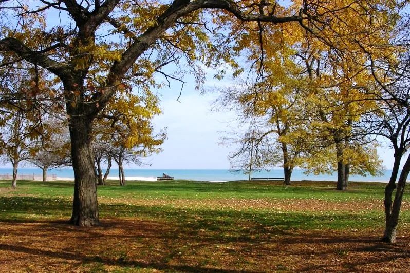 Rogers-Park-in-Chicago-courtesy-of-librarianc-via-Flickr.jpg