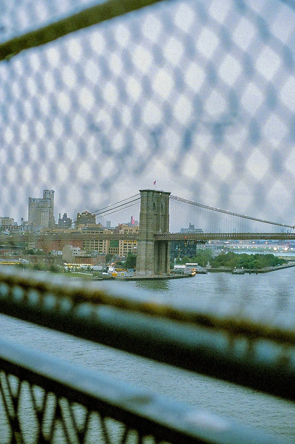 55430027.jpg