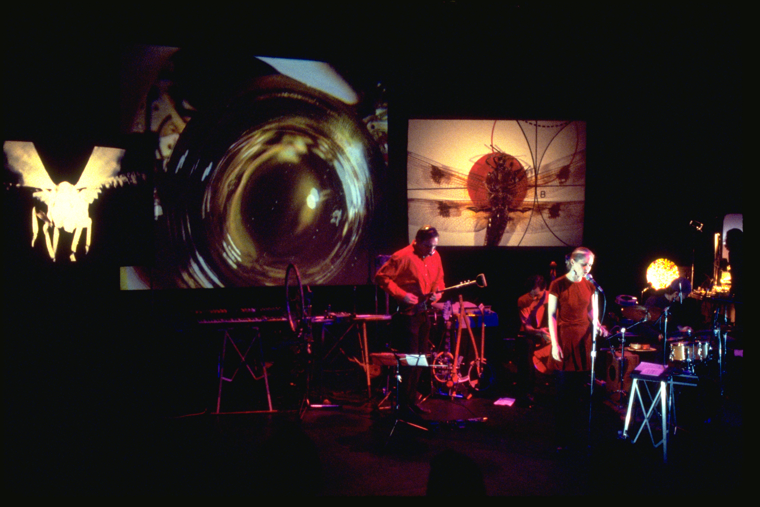 'Insects &amp; Anxious Objects', The Kitchen, NYC, 1996  w. Dina Emerson, Rufus Cappadocia, Satoshi Takeishi