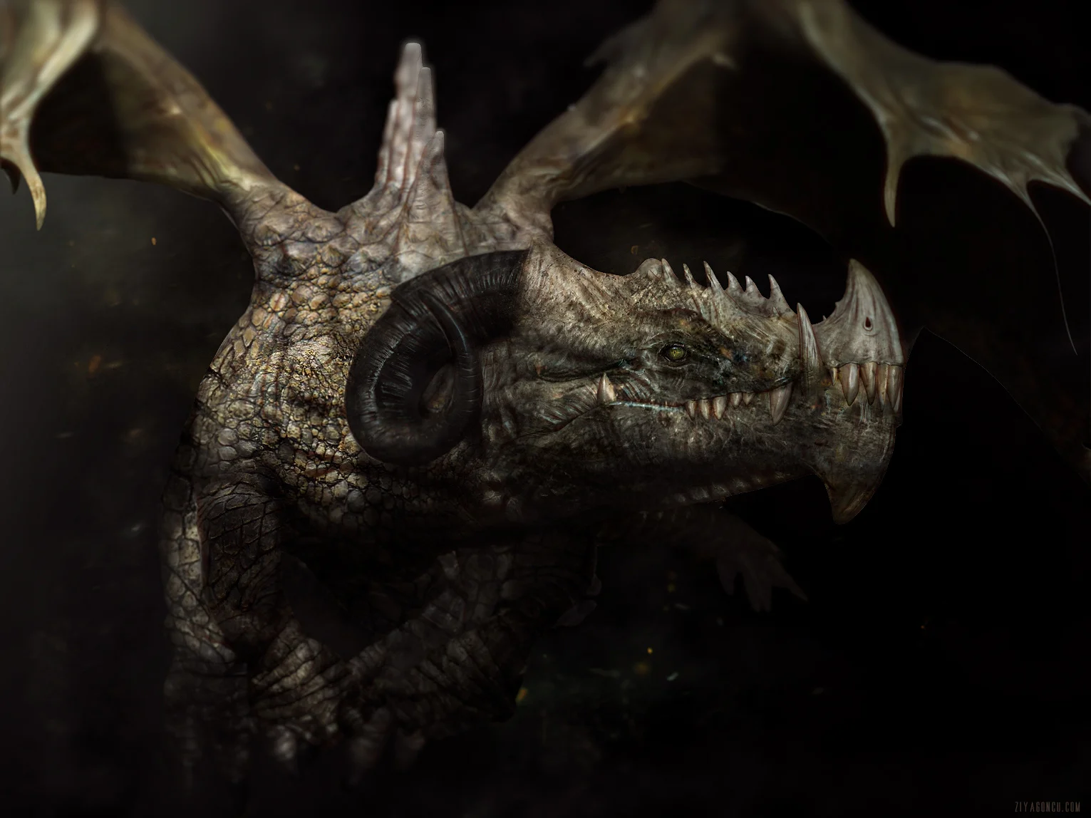 drago last.jpg
