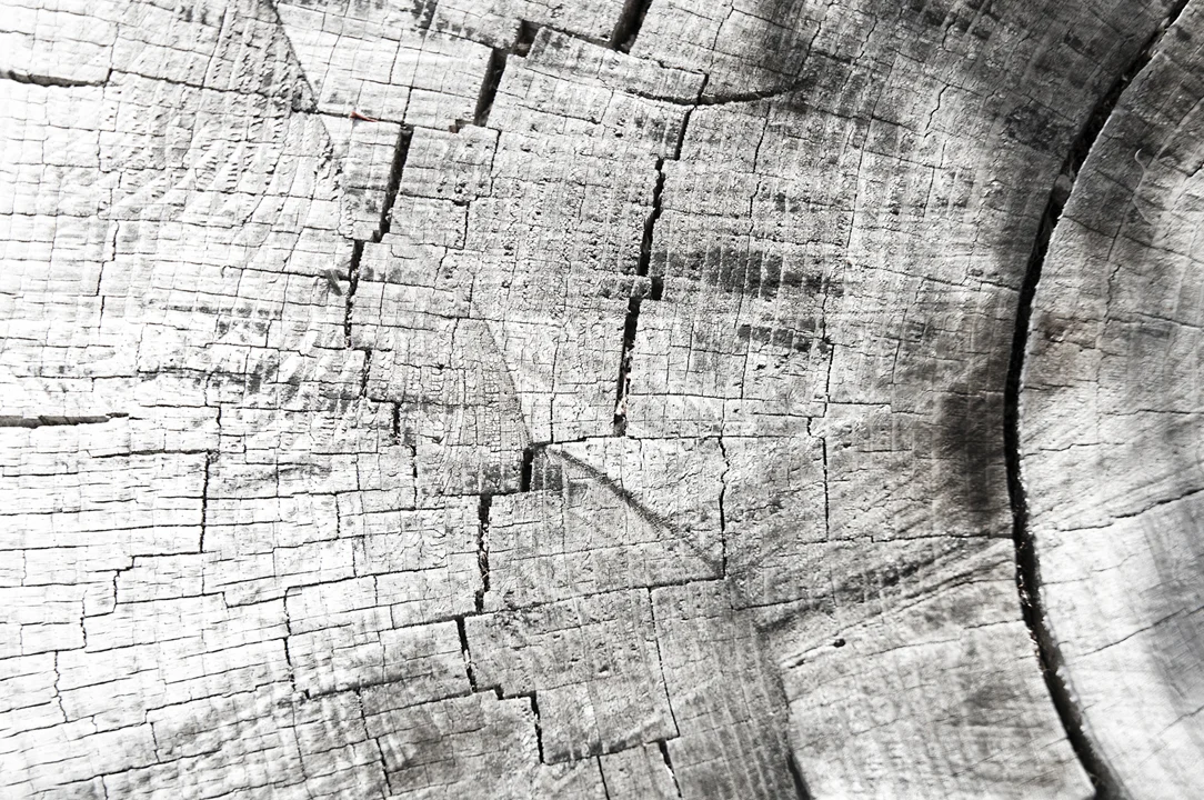 Log Detail @.jpg