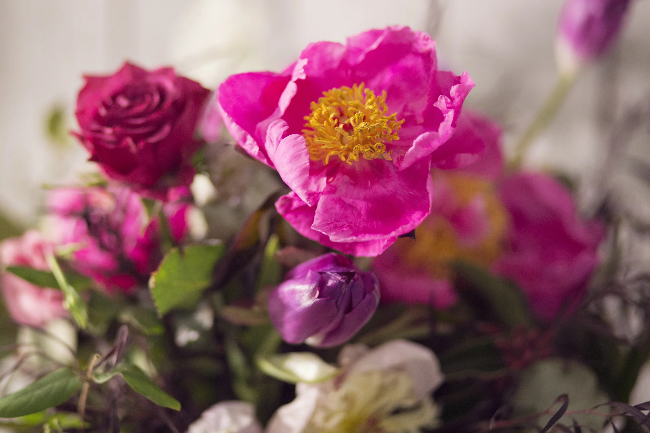 L93A7301 as Smart Object-1.jpg