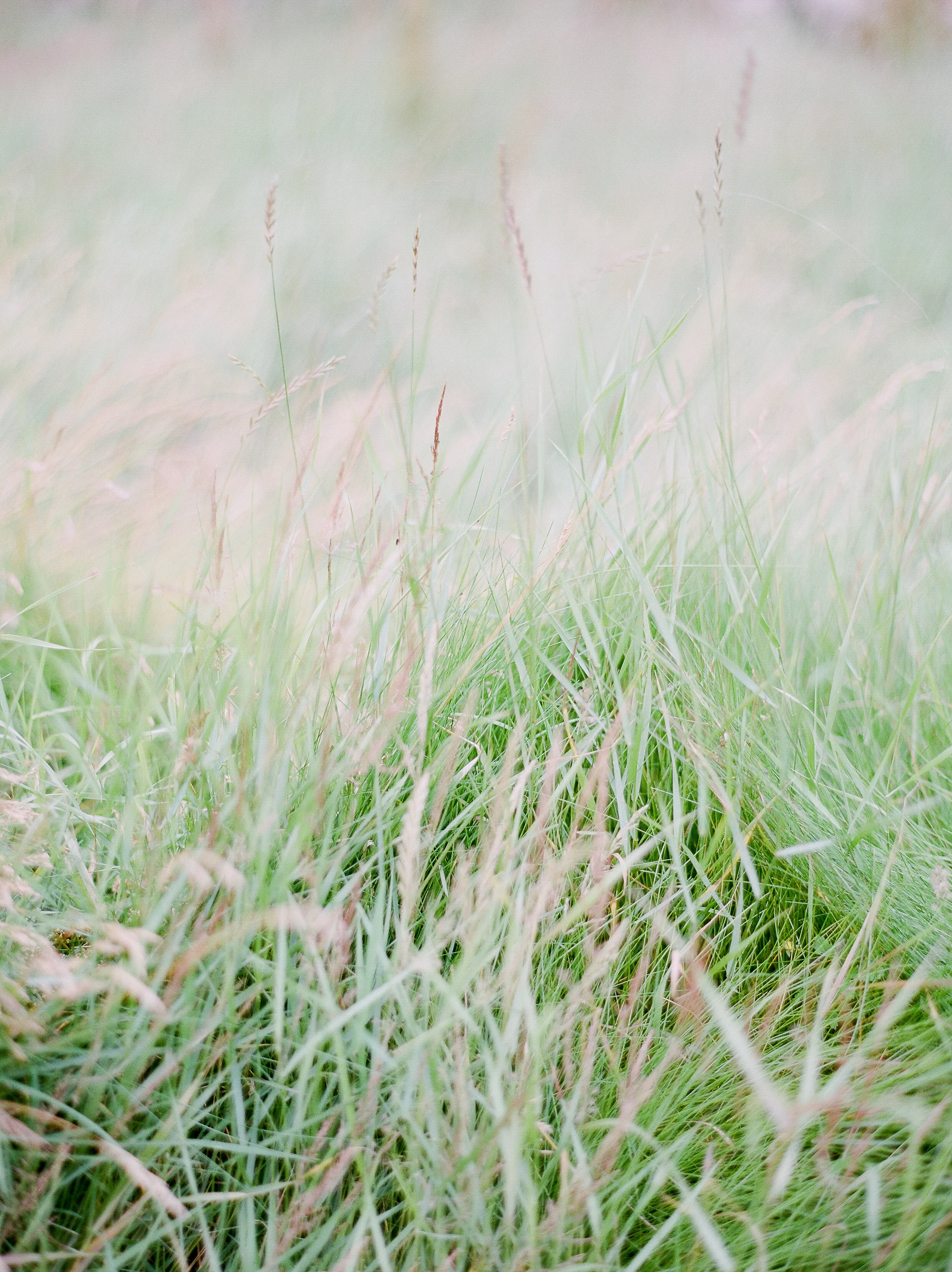 IrelandBridals-9.jpg