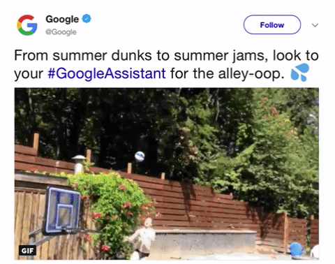 Animated GIF-downsized_large (1).gif