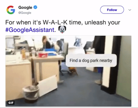 Animated GIF-downsized_large (5).gif