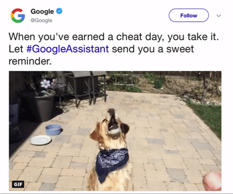 Animated GIF-downsized_large (12).gif