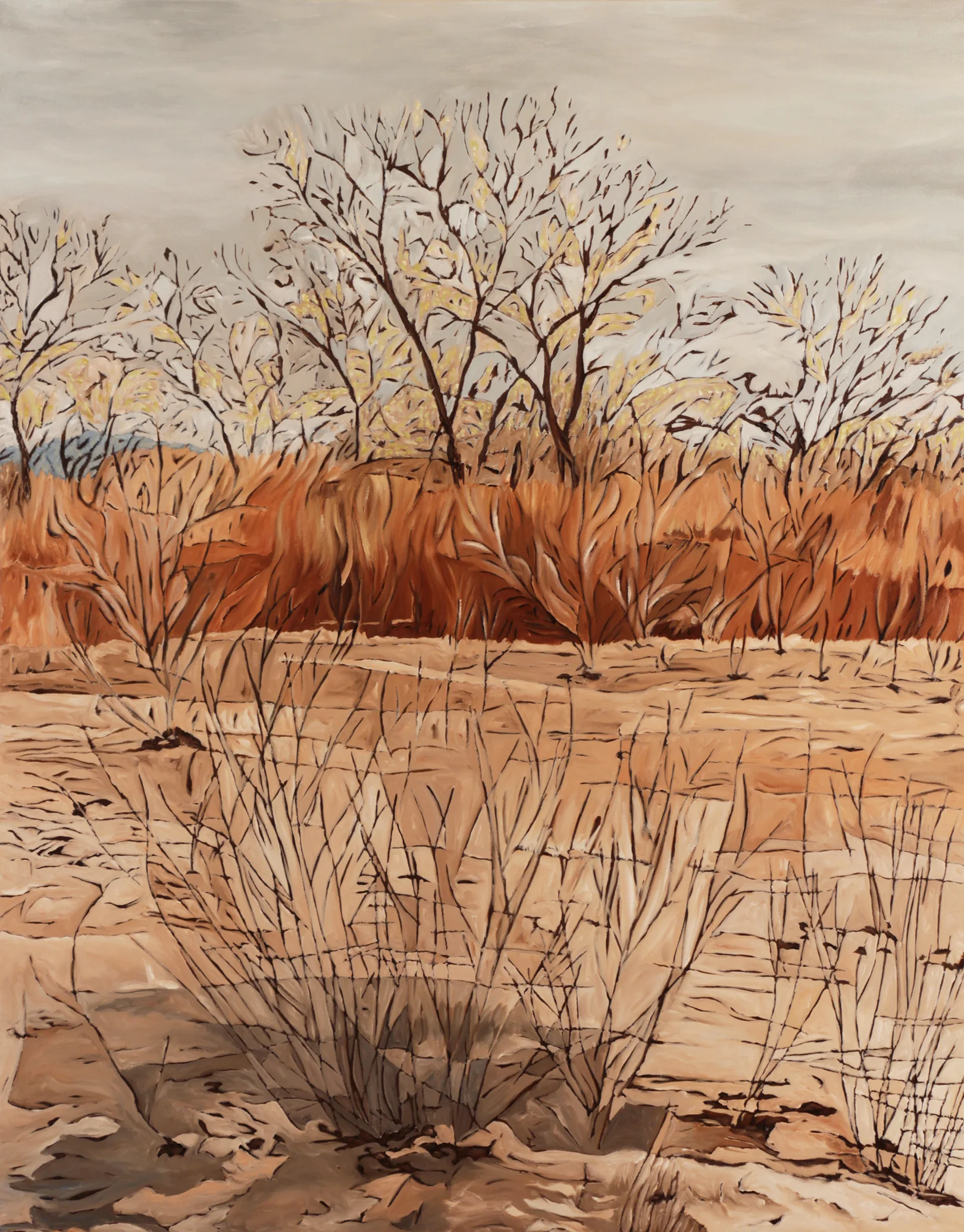 Bosque II oil on canvas 46” x 36" 2015