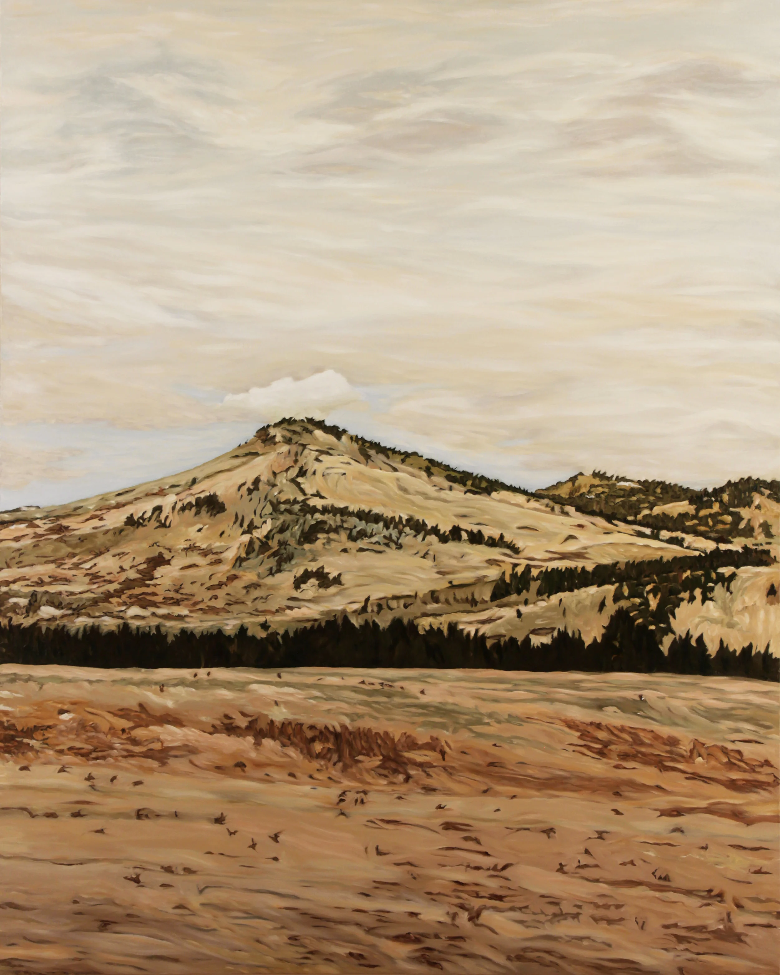 North of Here oil on canvas 60” x 48” 2015 