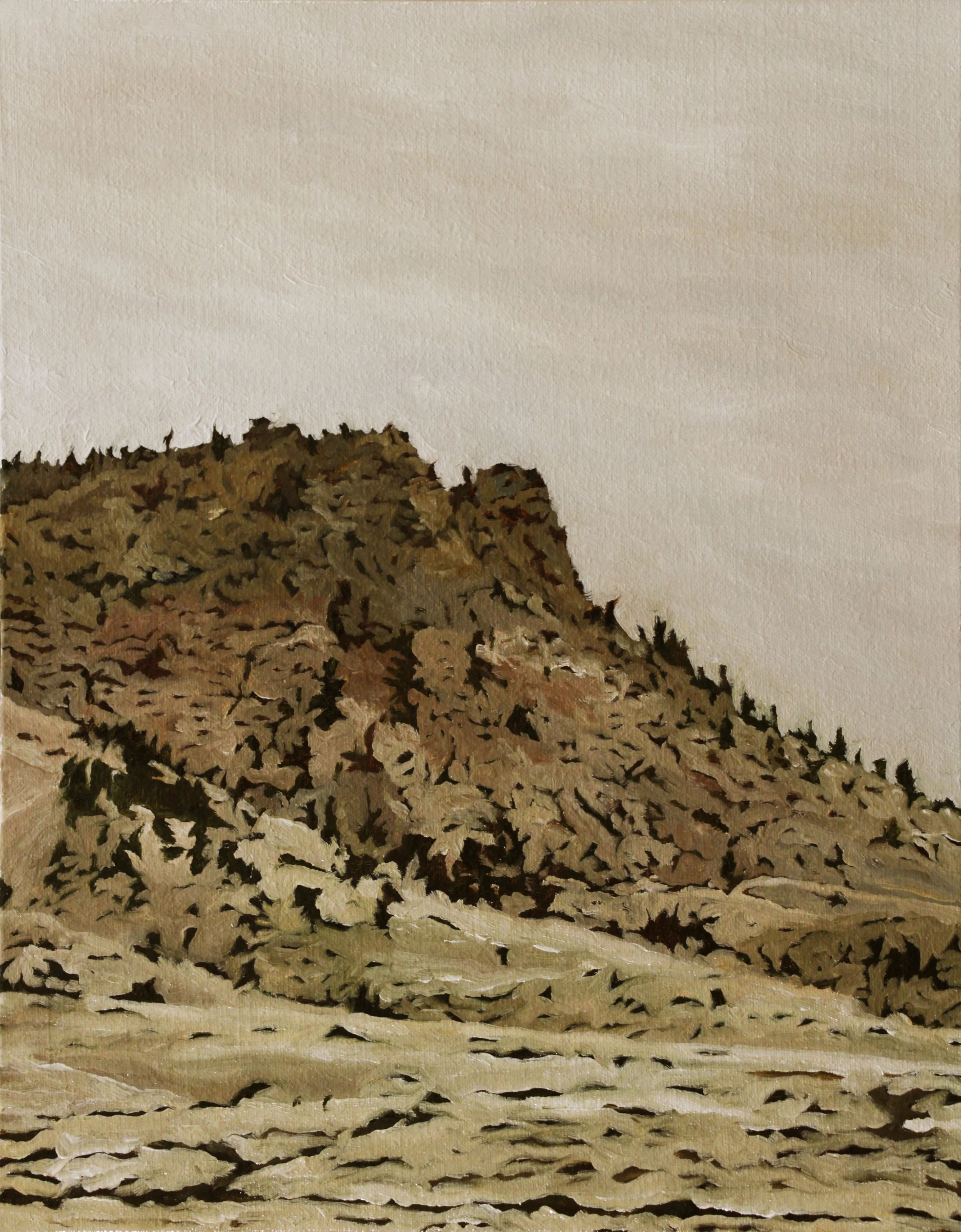 CAAB 1 oil on linen panel 14” x 11” 2014