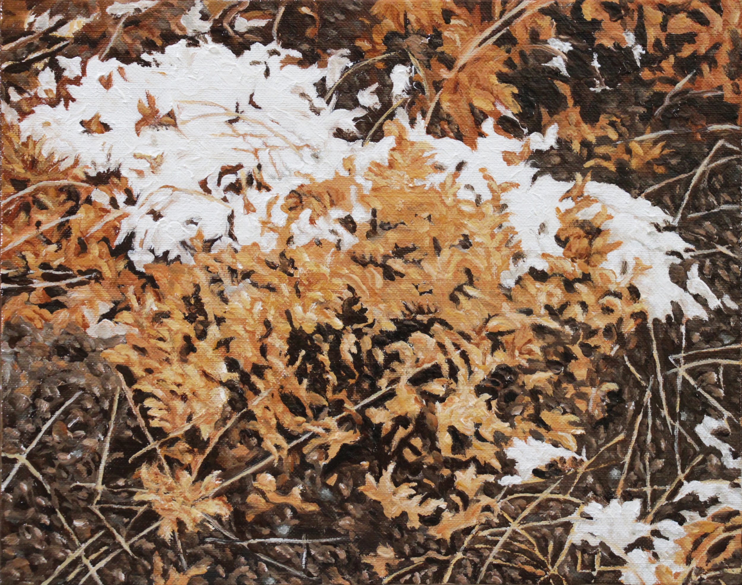 CAAB 7 oil on linen panel 8” x 10” 2014