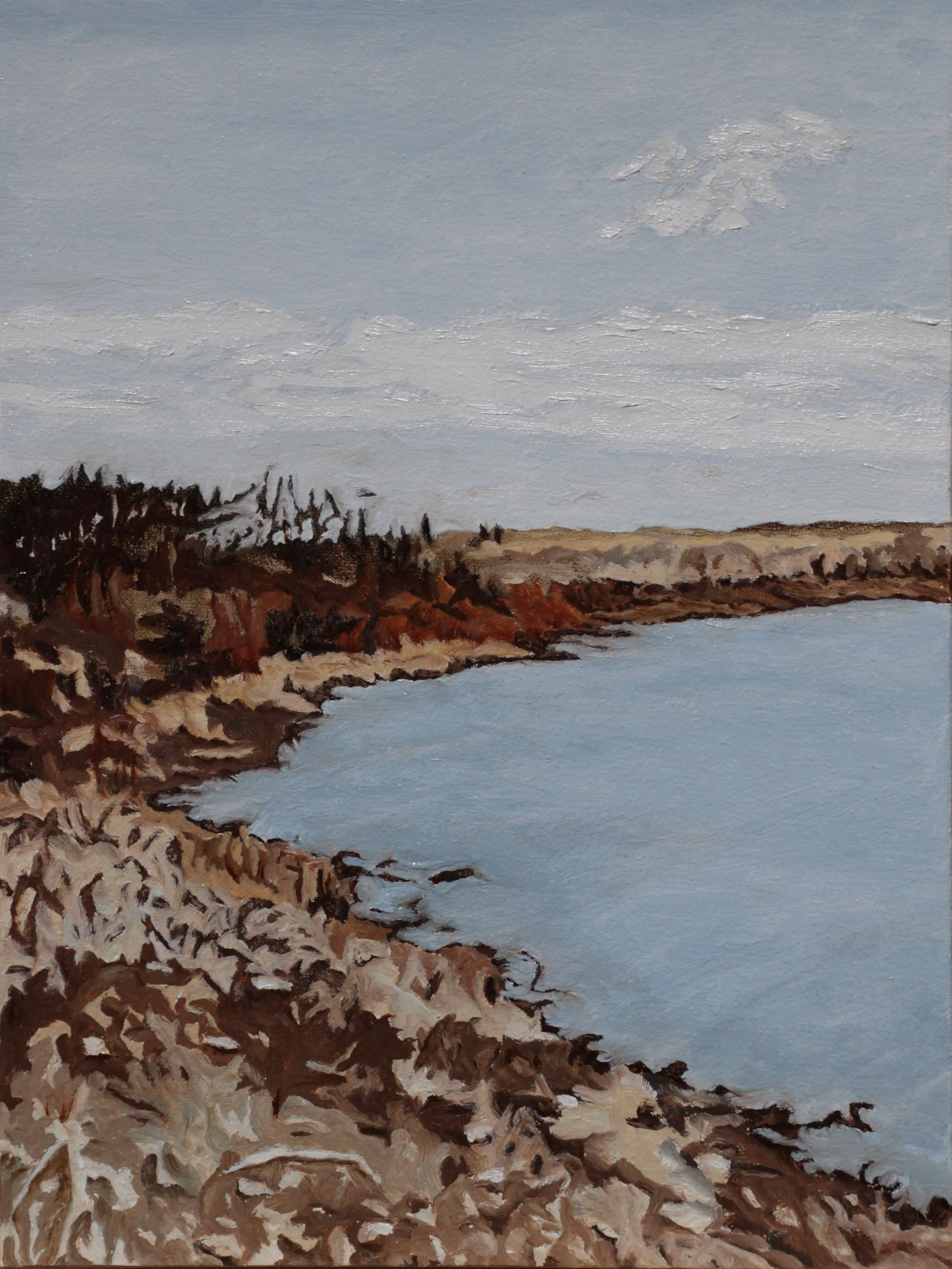 CAAB 17 oil on linen panel 12” x 9” 2014