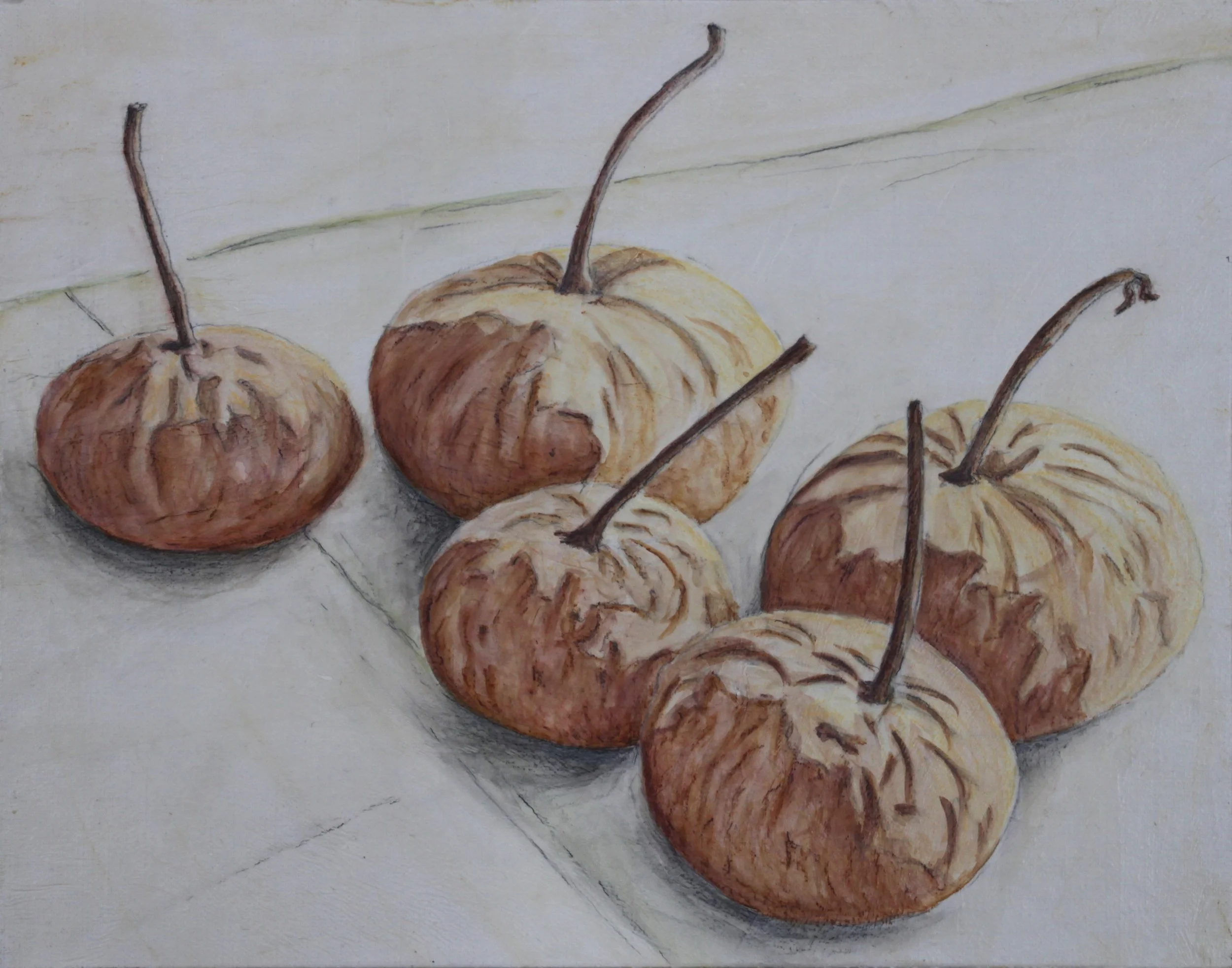 D 1 graphite, pastel, acrylic on paper on linen panel 11” x 14” 2014