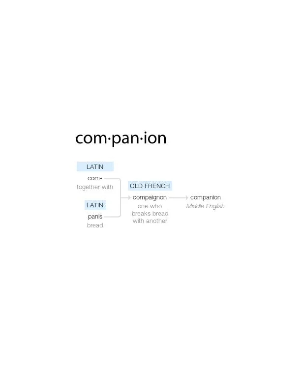 companion.jpg