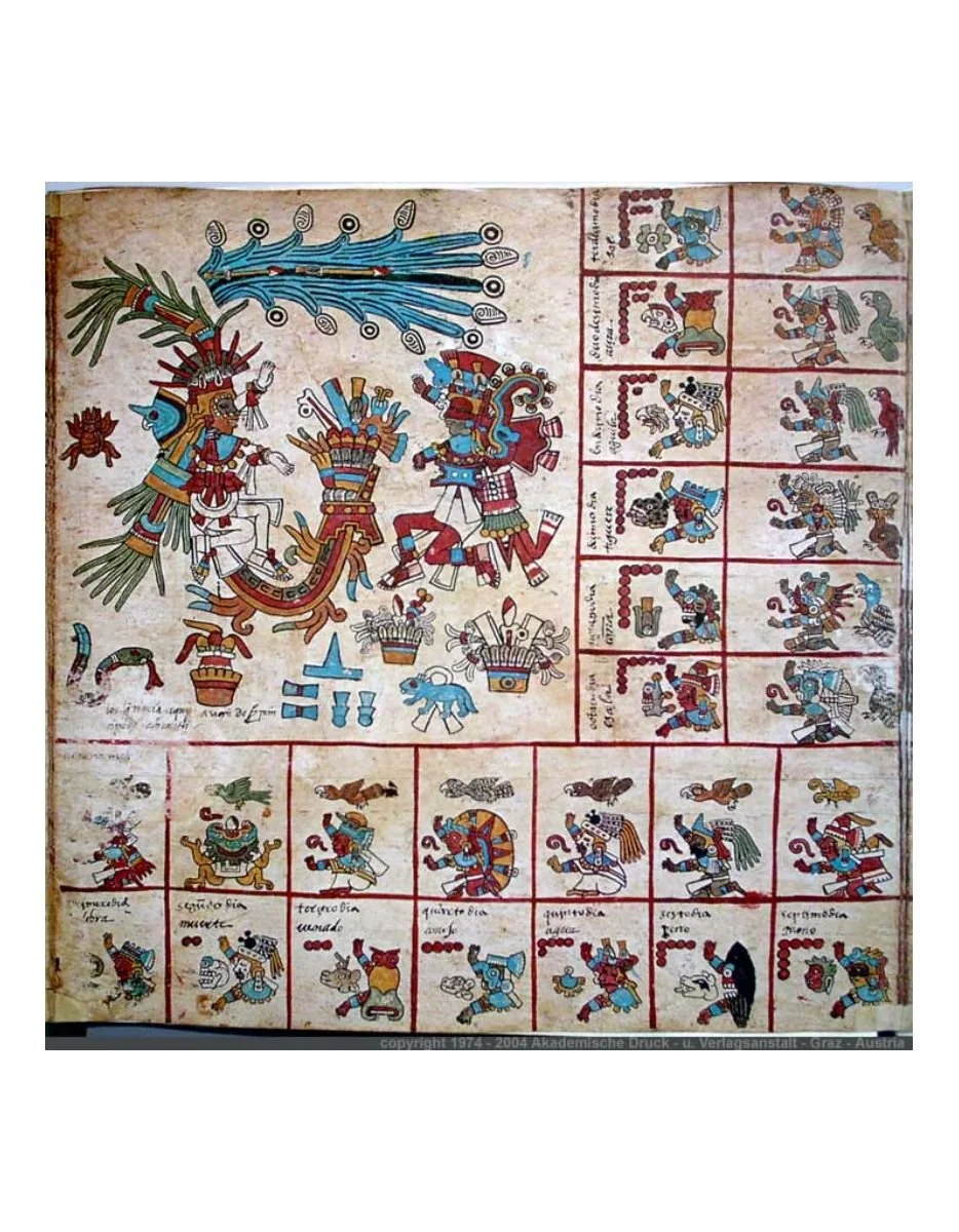 borbonico-p007.jpg
