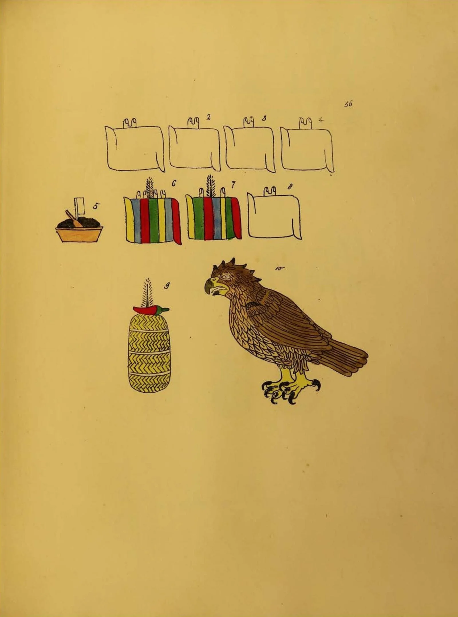 pagina-55.jpg