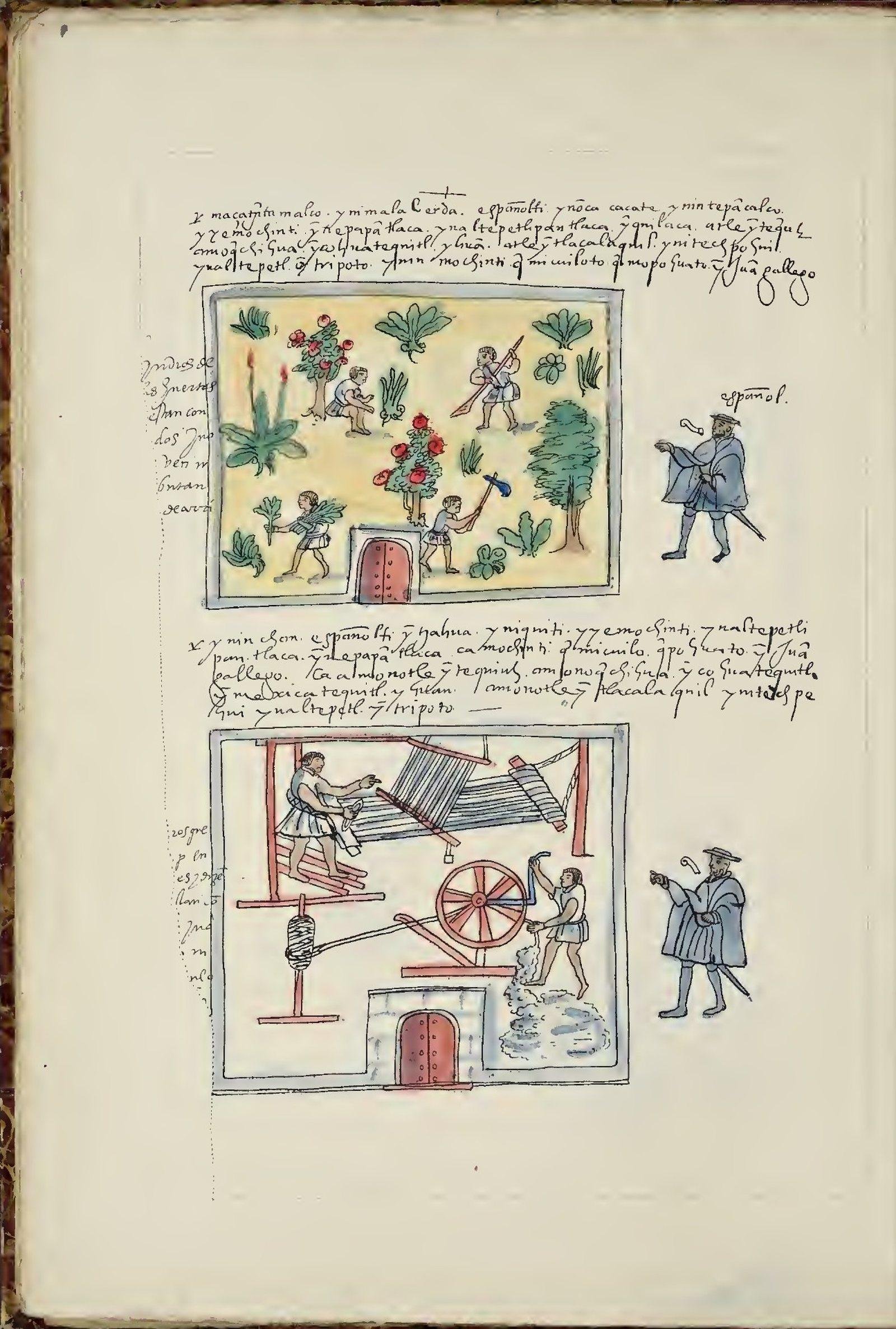 pagina-67.jpg