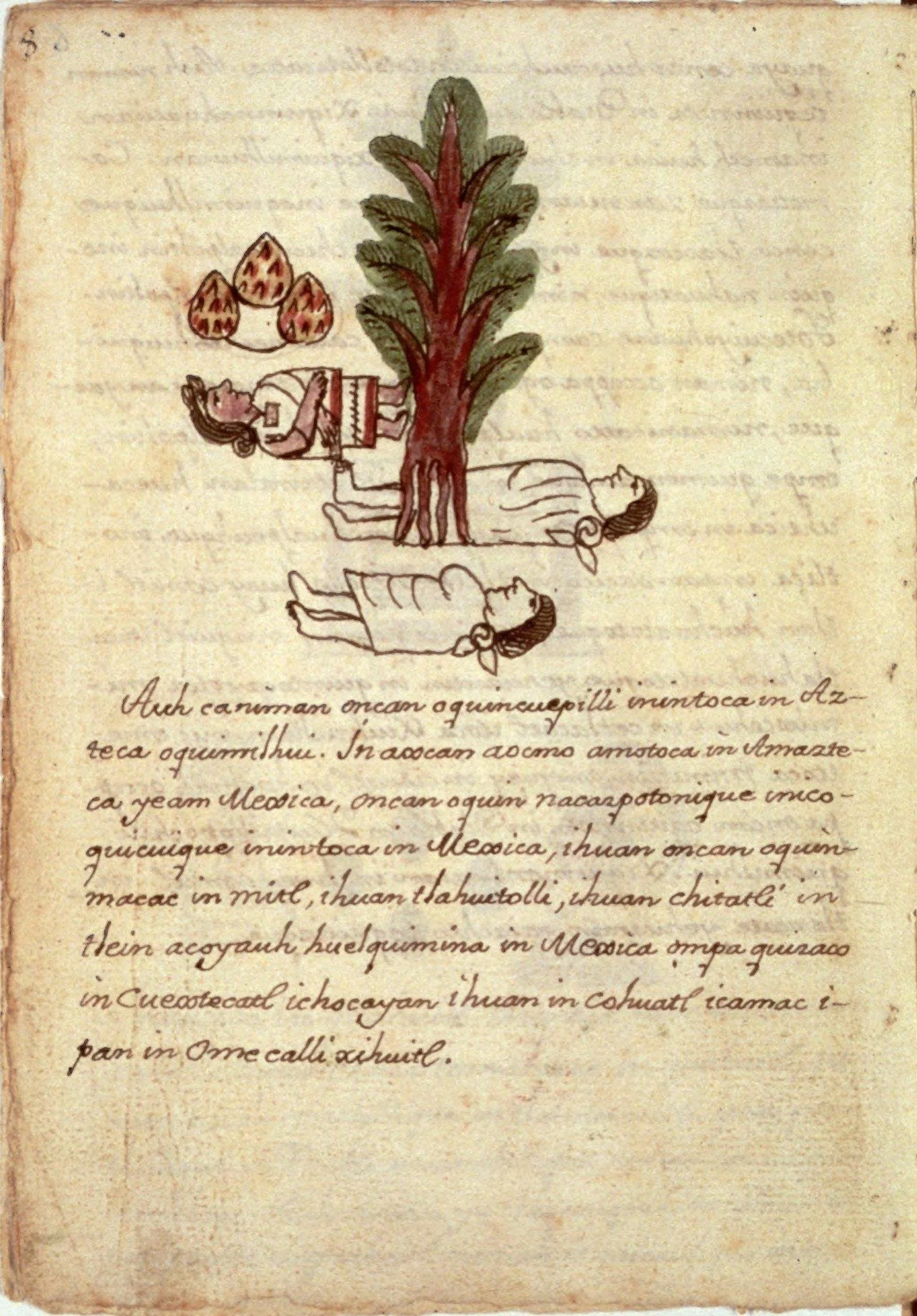 pagina-05.jpg