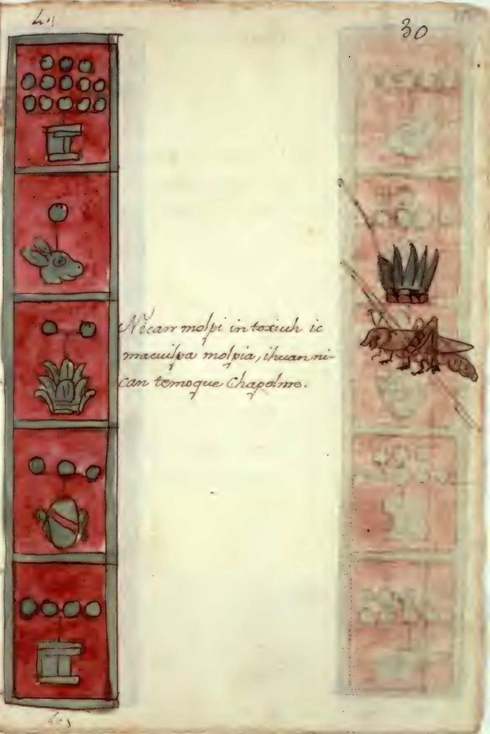 pagina-51.jpg