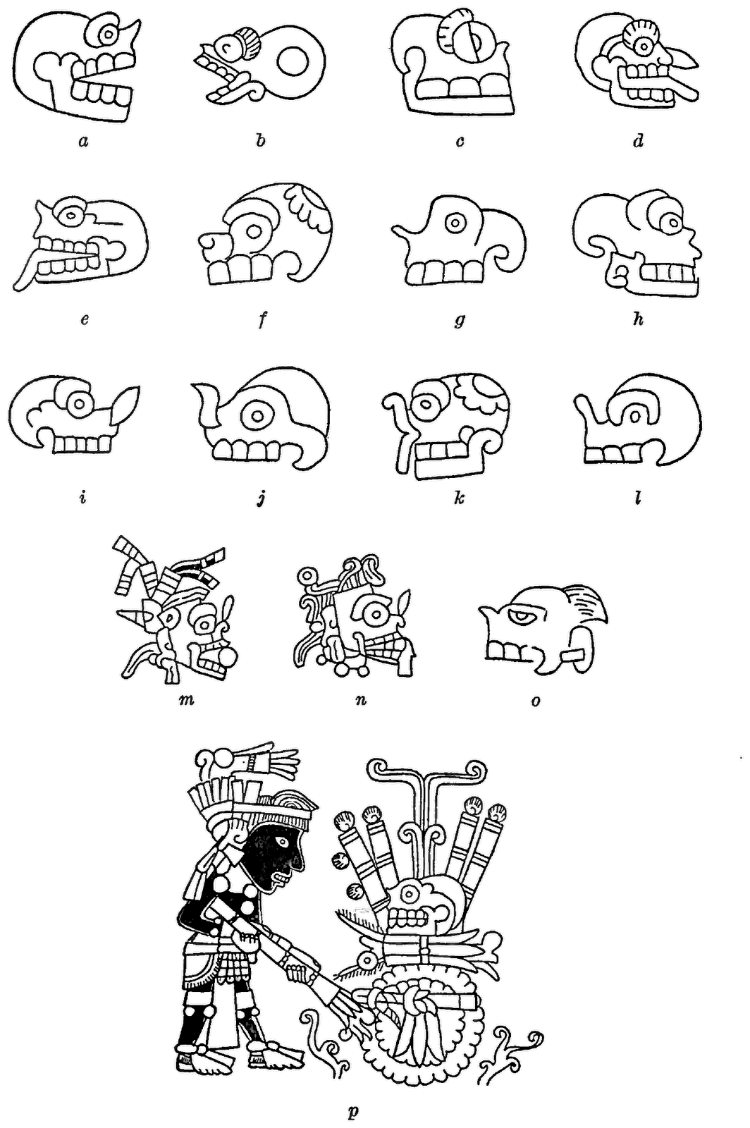 waterman-fig-15.png