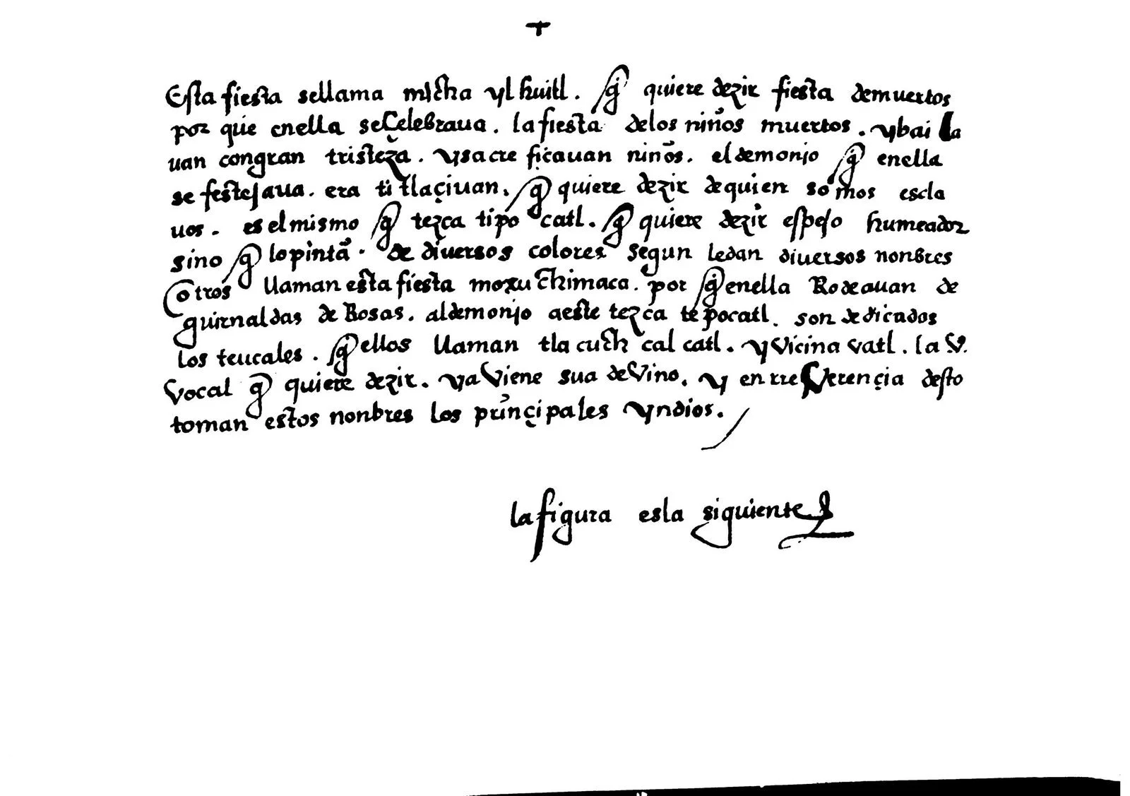 pagina-50.jpg
