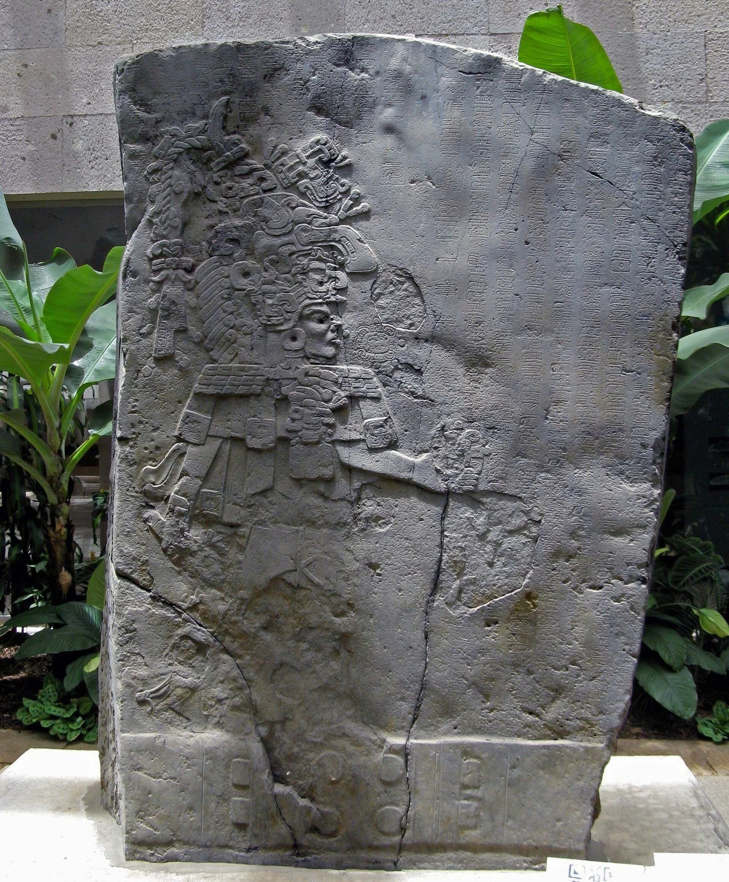 La Estela 1 de La Mojarra: losa de piedra con un gobernante de gran tocado en relieve y columnas de glifos a su lado